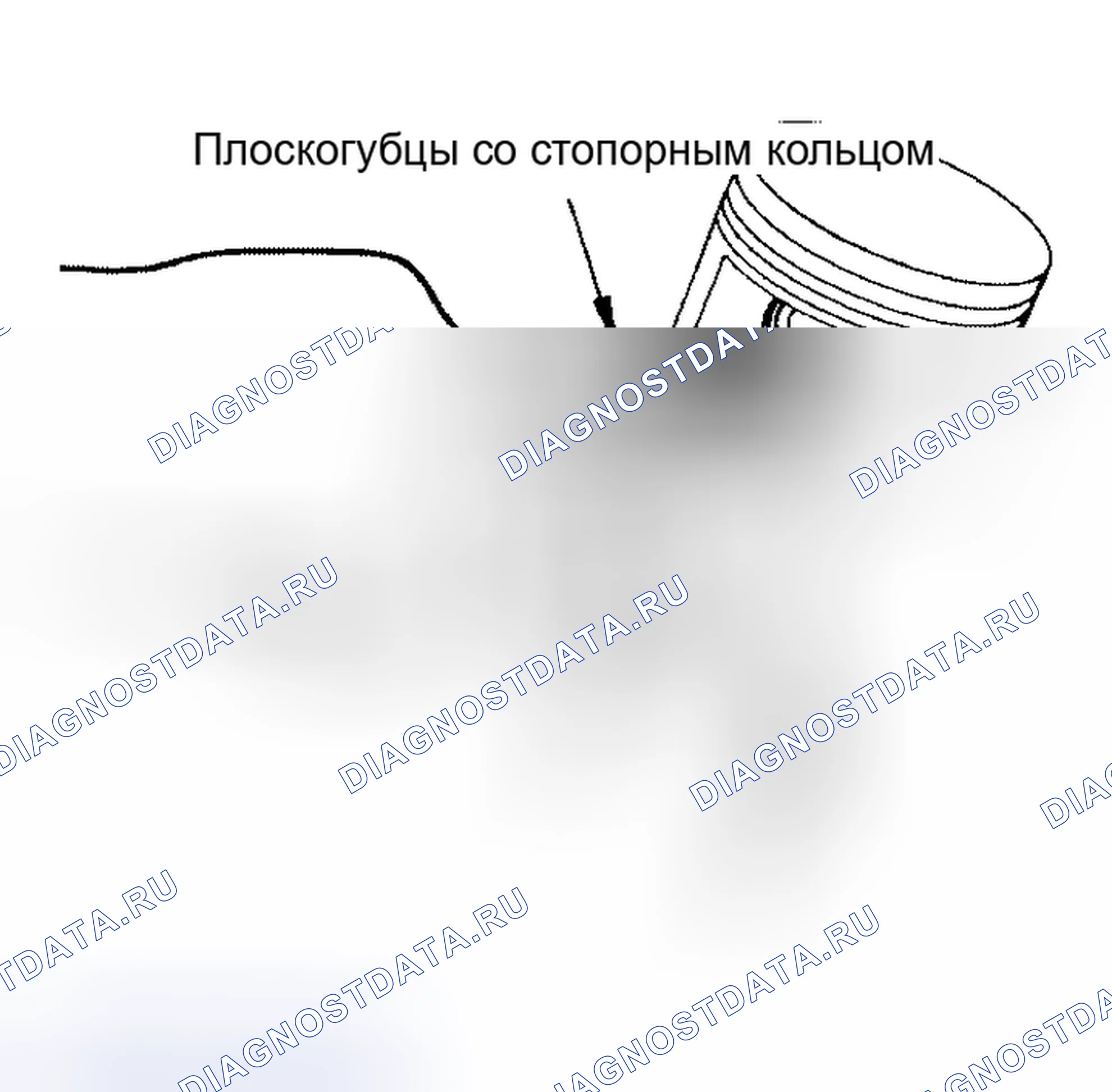 Рис. 282. Nissan Altima L31 рестайлинг