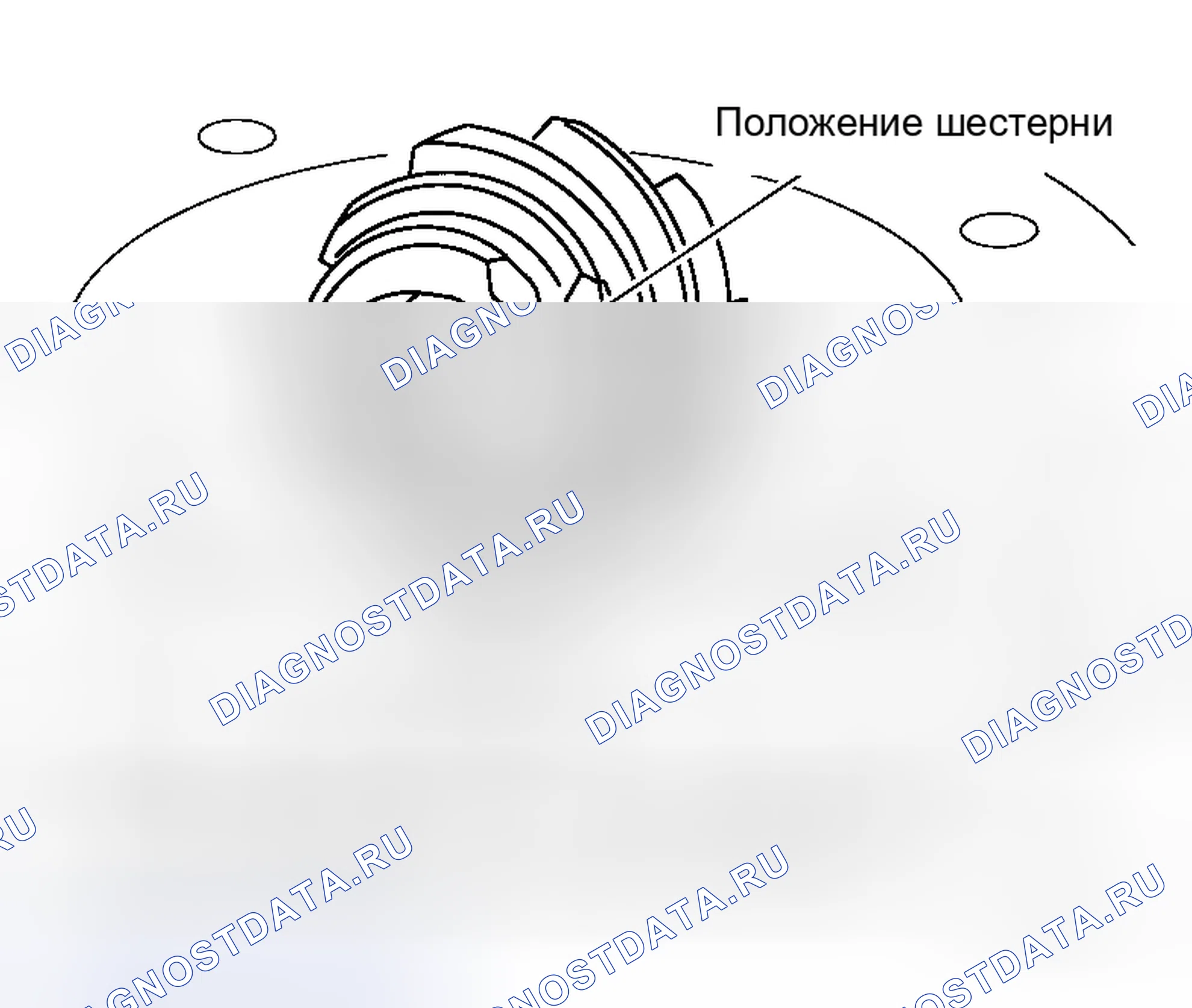Рис. 307: Шайба регулировки высоты ведущей шестерни. Honda Odyssey I