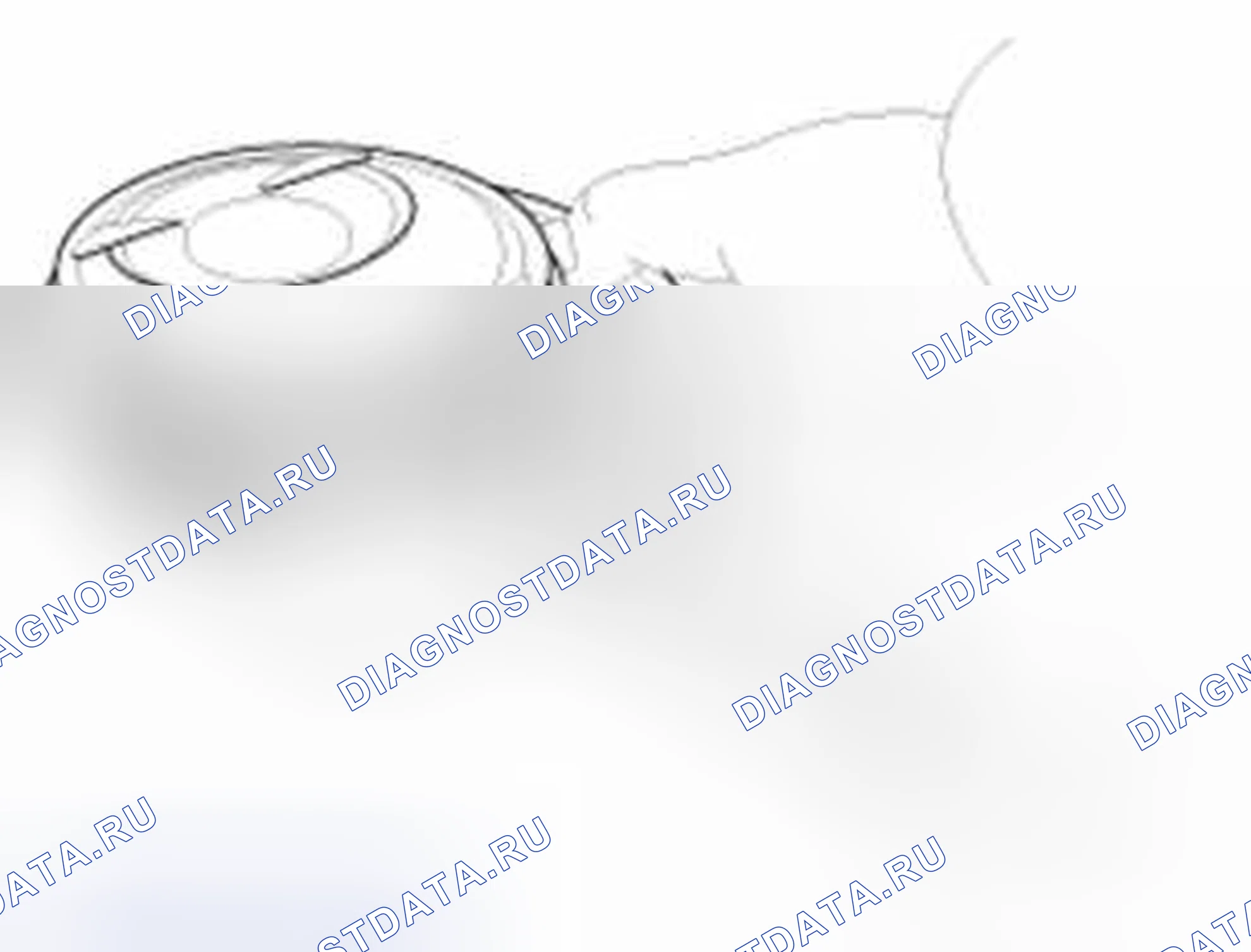 Рис. 589: Поршень и кольца. Haval Beast (Shenshou) I