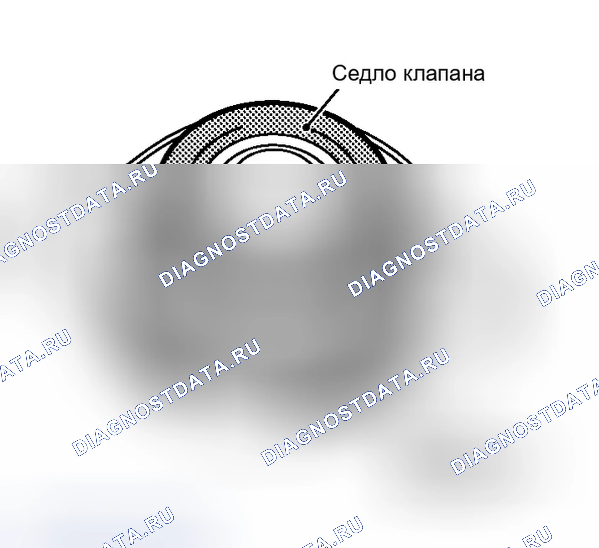 Рис. 3: Проверка крышки радиатора. Infiniti M35 III