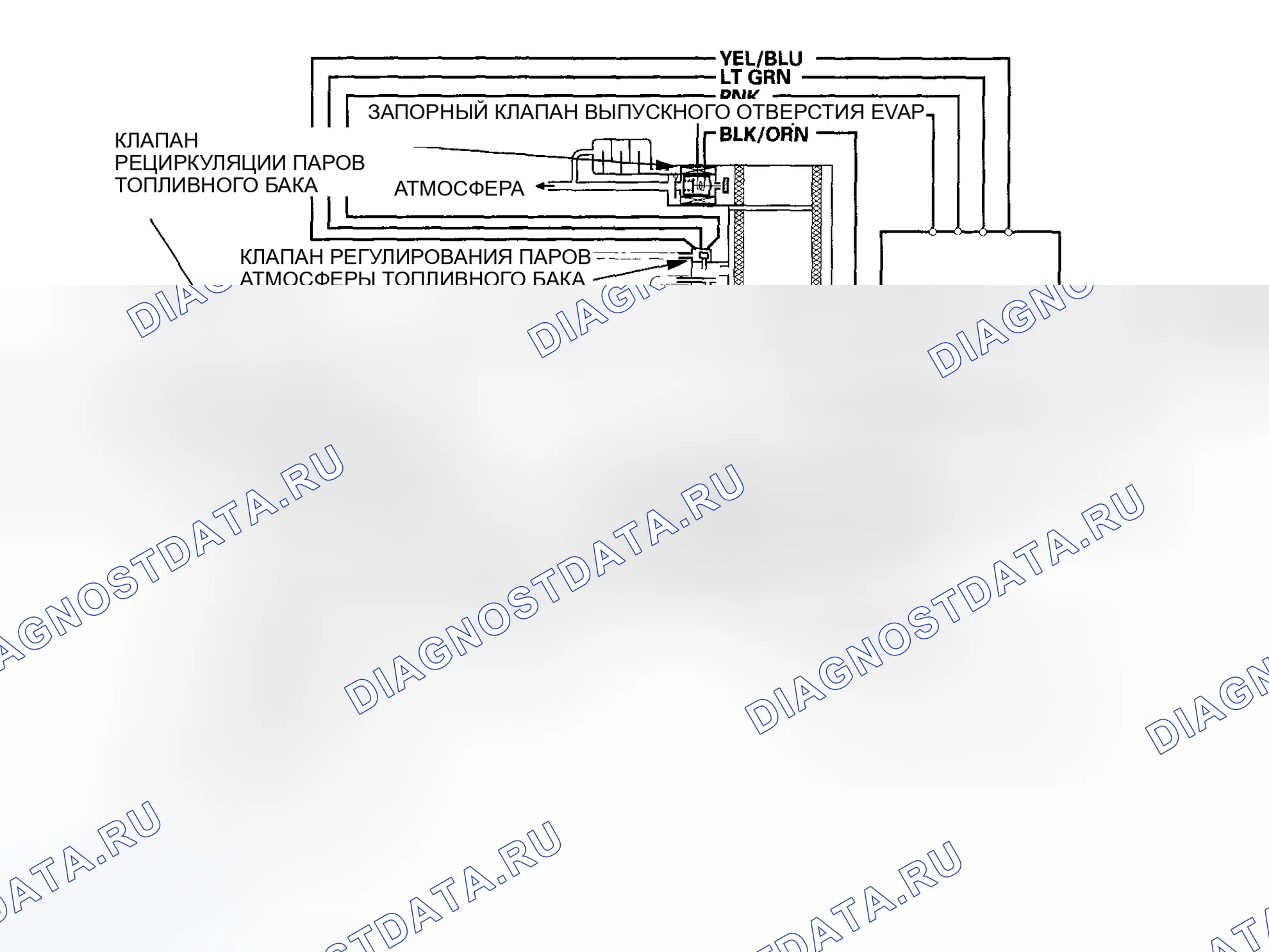 Рис. 90: Модели Diagram-2005-2006 ограничения выбросов в результате испарения (EVAP). Acura RSX I