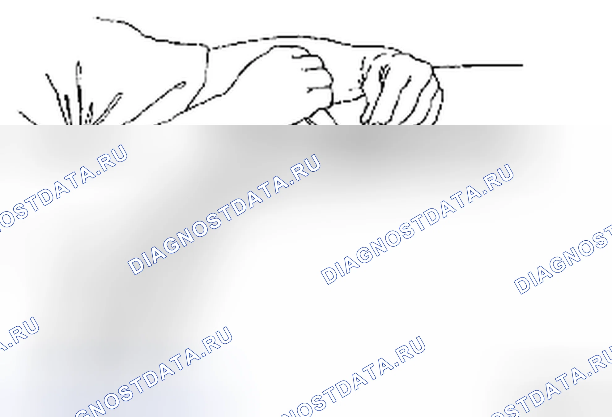 Рис. 16. Suzuki Forenza I