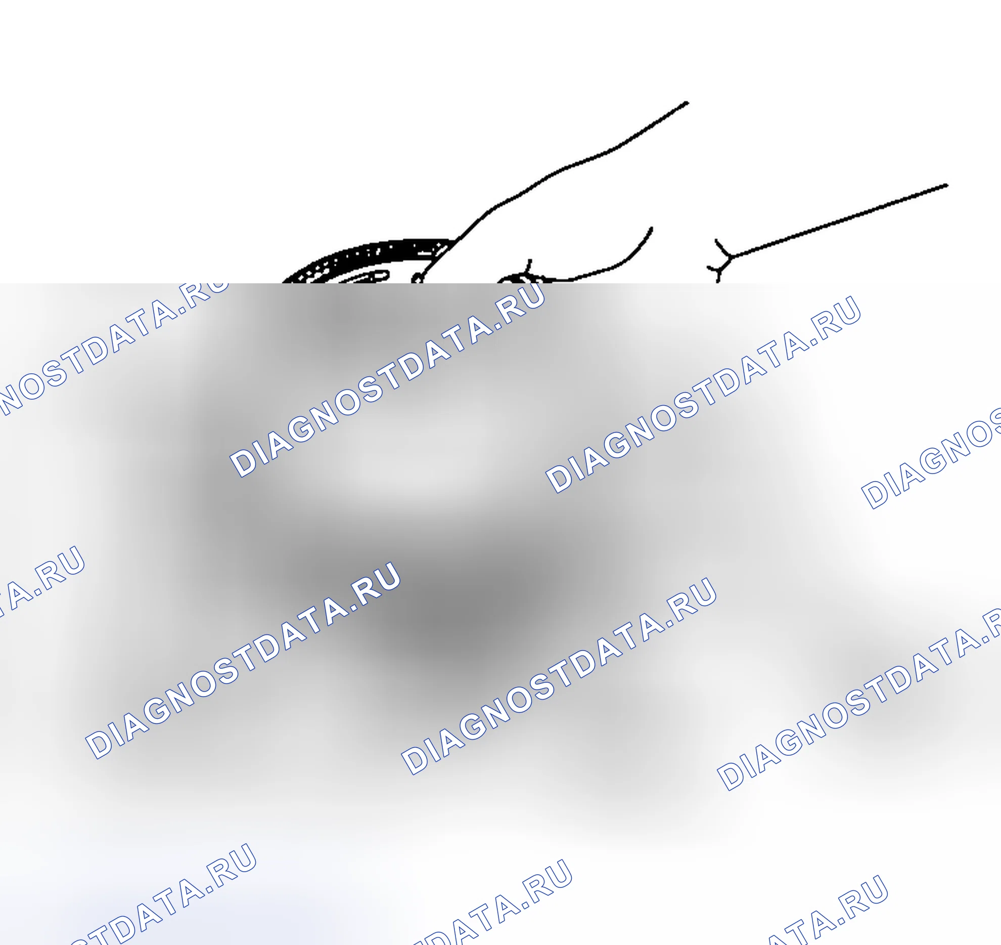 Рис. 766. Mazda MX-5 NA