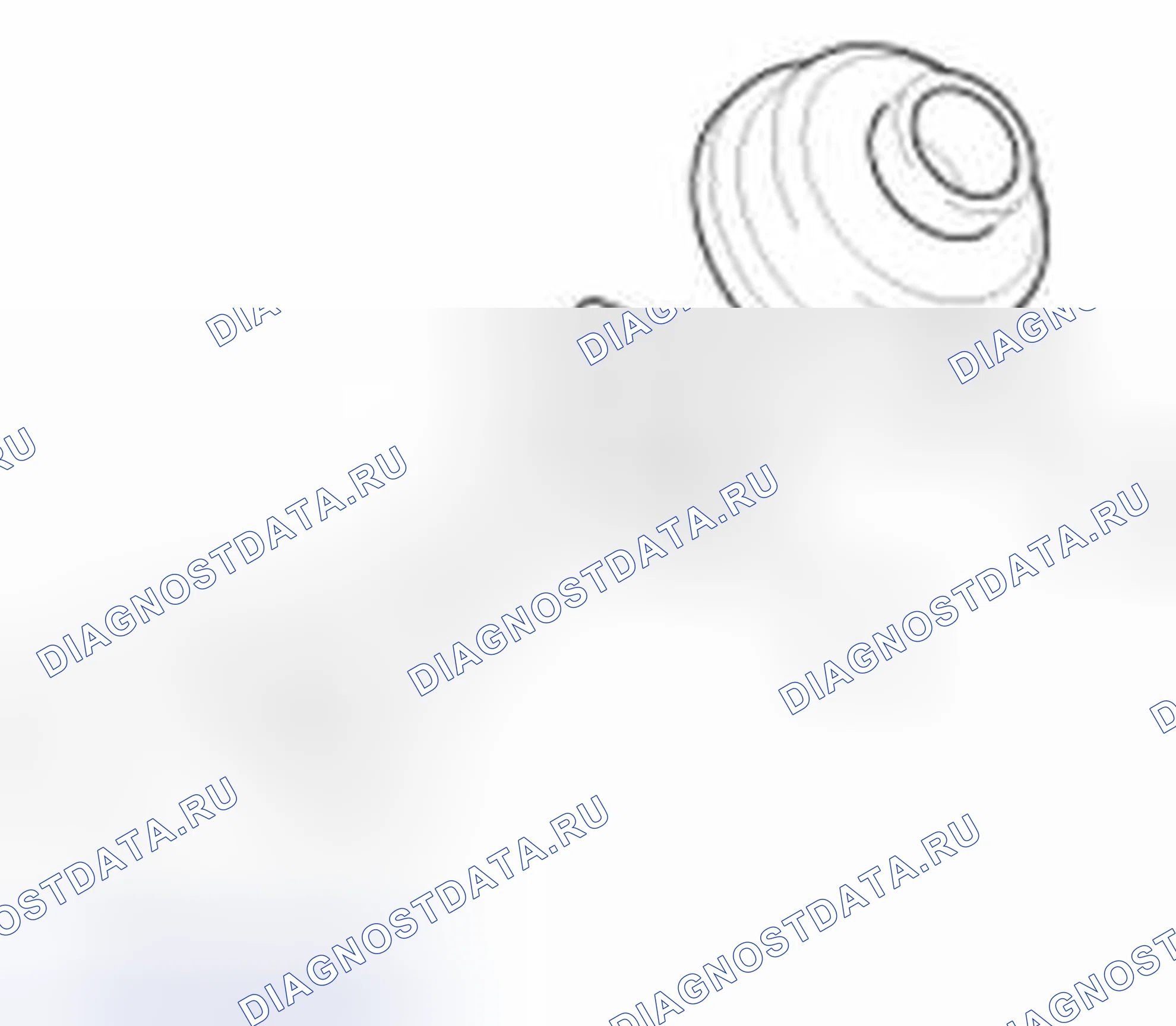 Рис. 45. Haval Beast (Shenshou) I