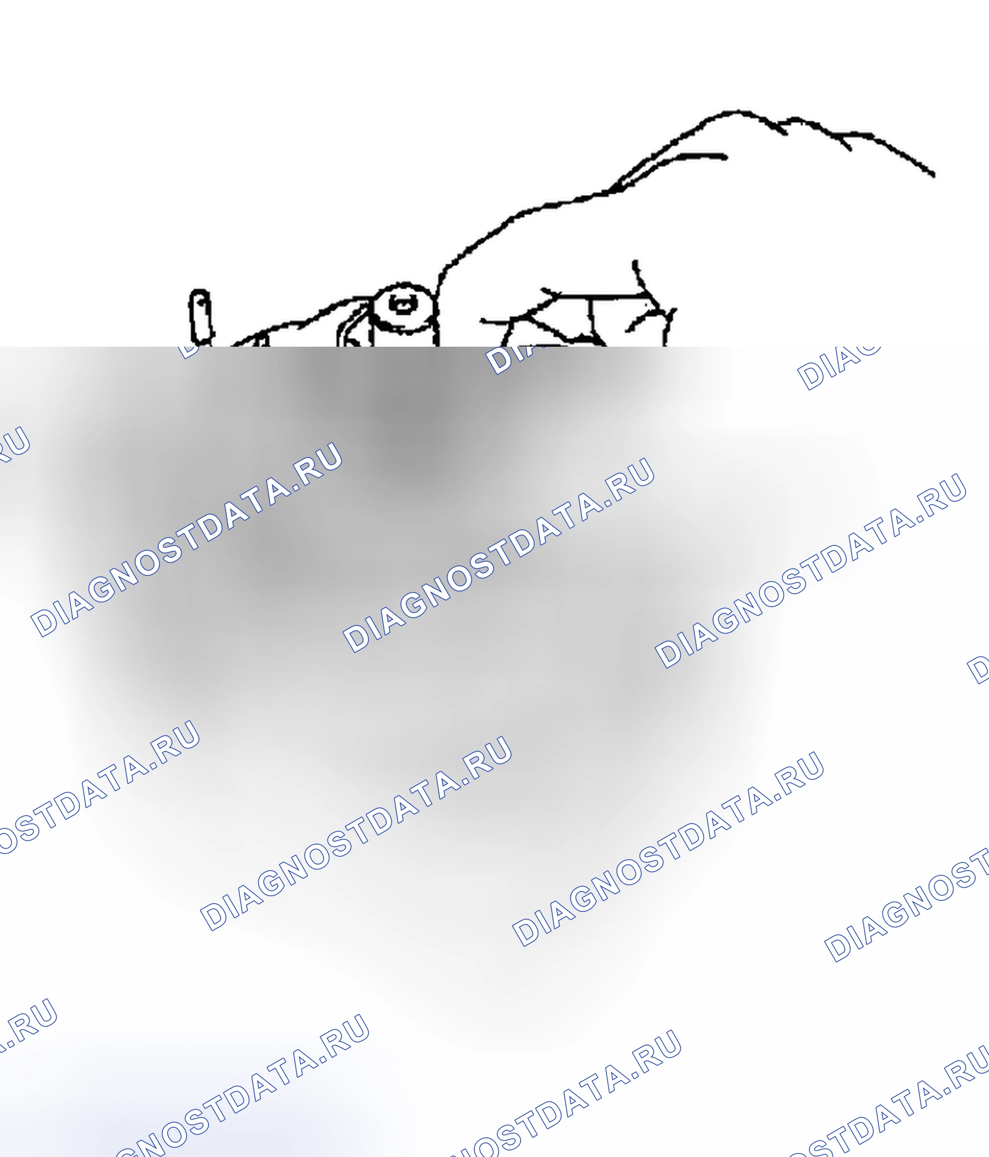 Рис. 43. Toyota Sequoia I