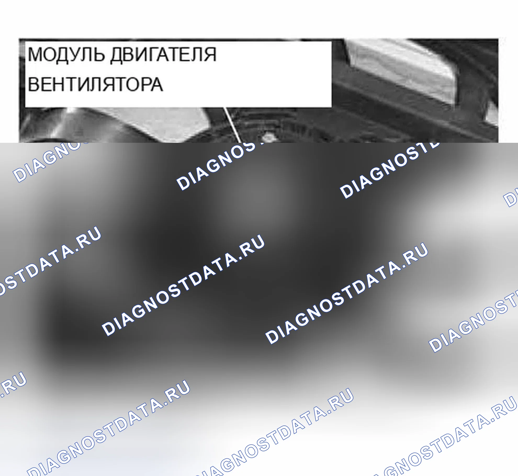 Рис. 1363: Управление вспомогательным вентилятором. BMW X5 E53 рестайлинг