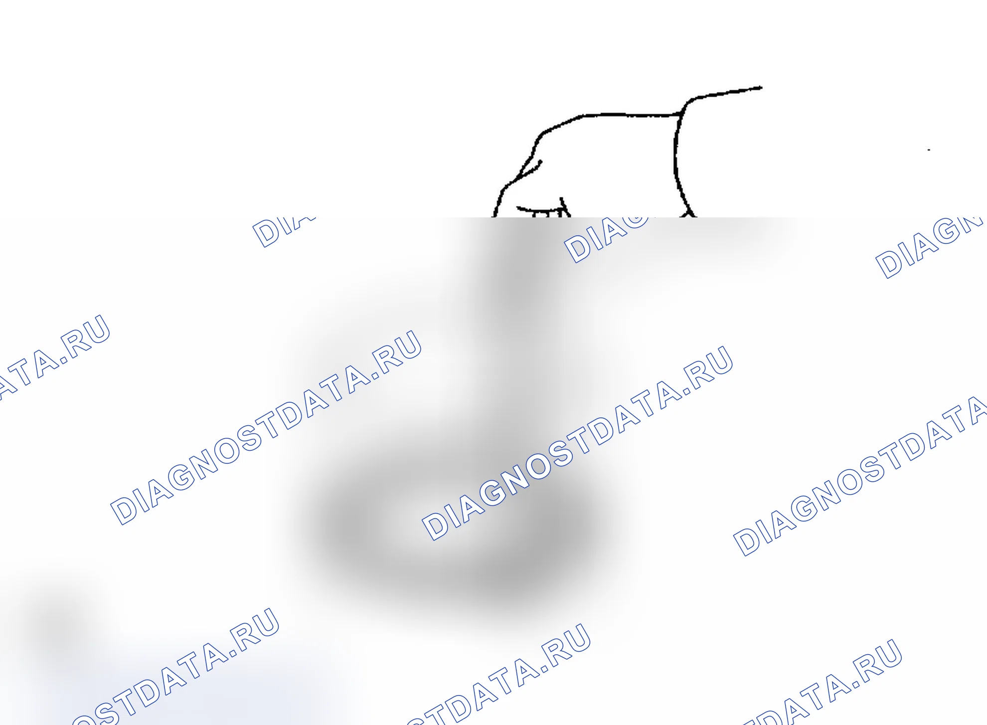 Рис. 351. Toyota Land Cruiser 100 рестайлинг 2