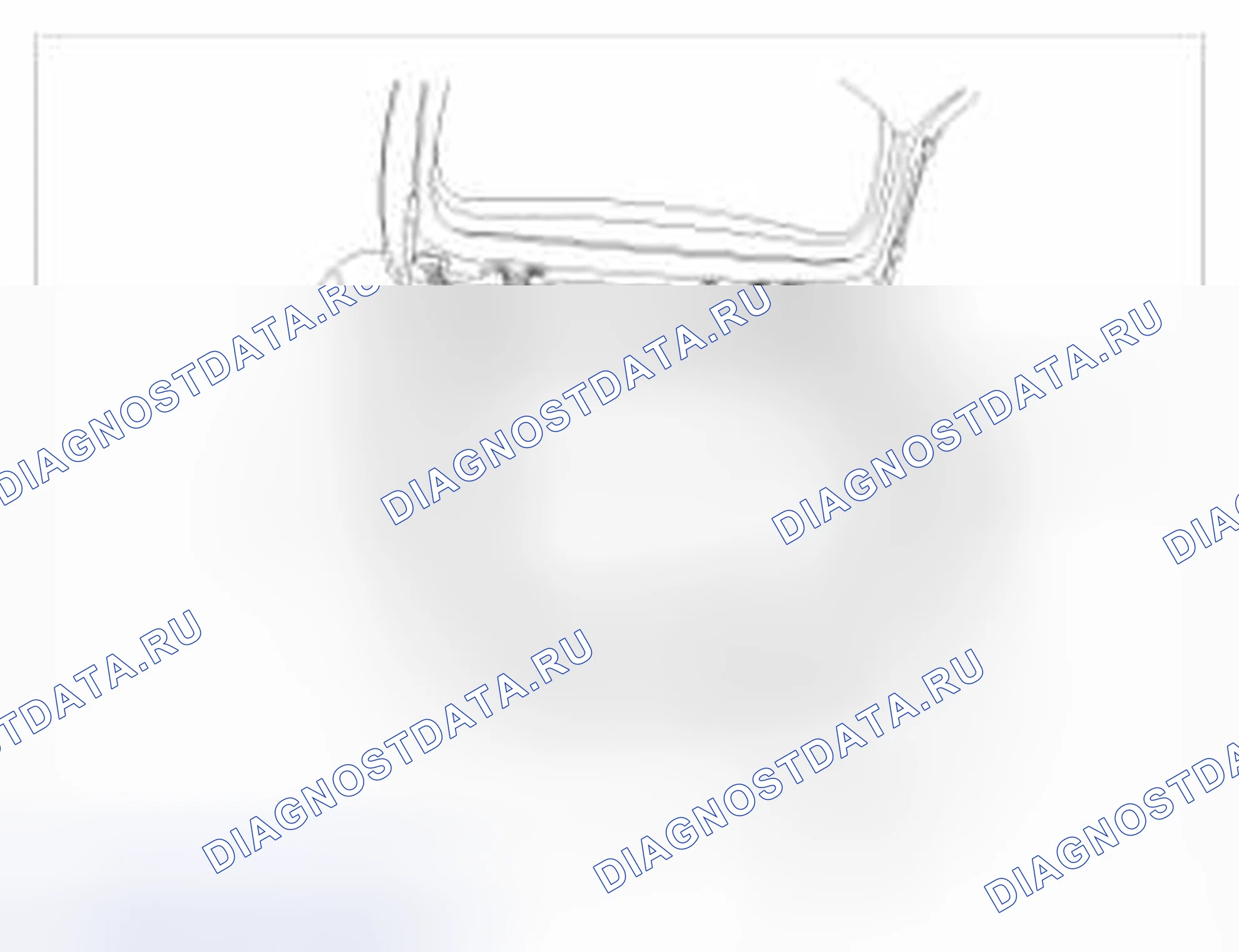 Рис. 43. BMW 6 серия F06/F13/F12