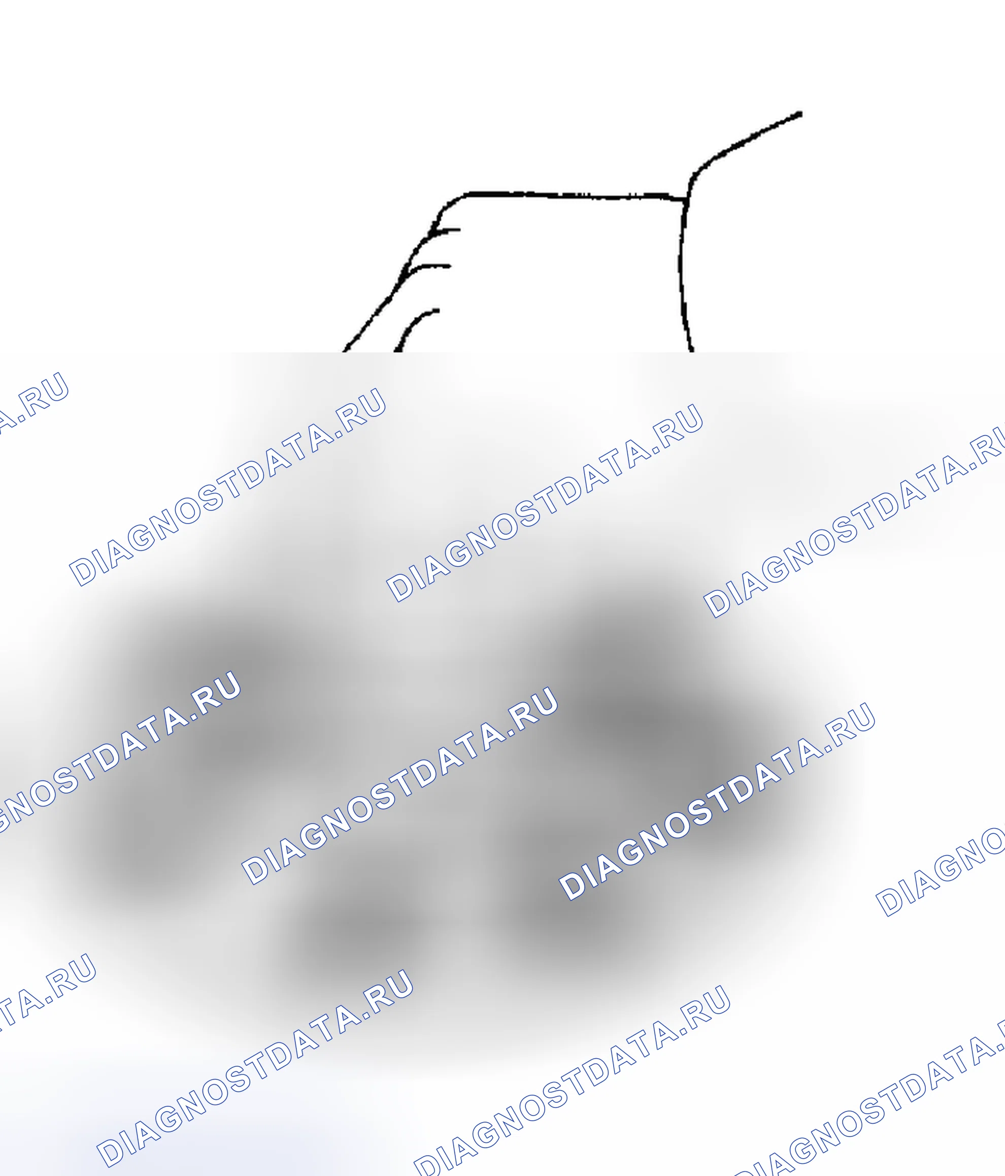 Рис. 8. Haval Xiaolong Max I