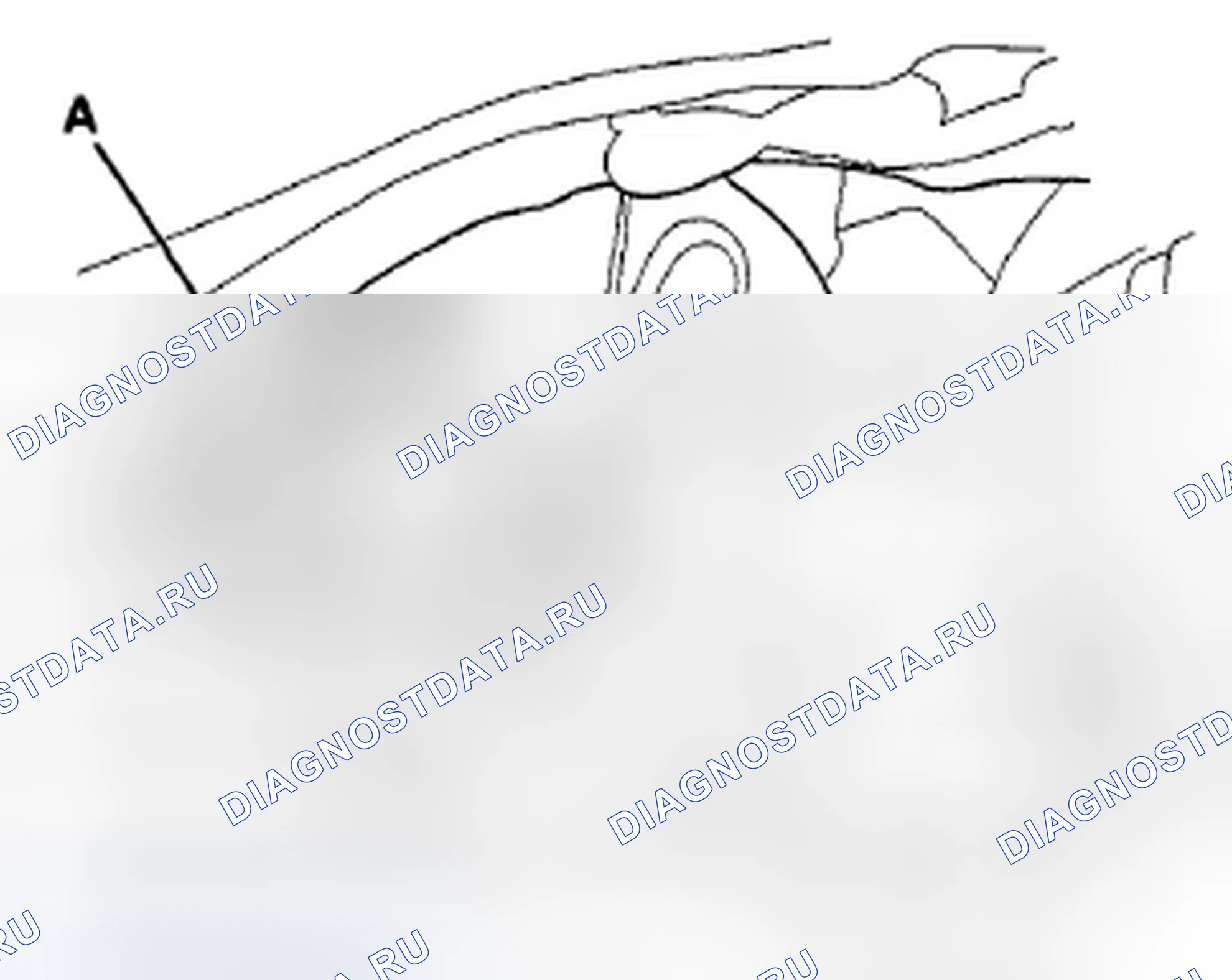 Рис. 17. Honda Crosstour I