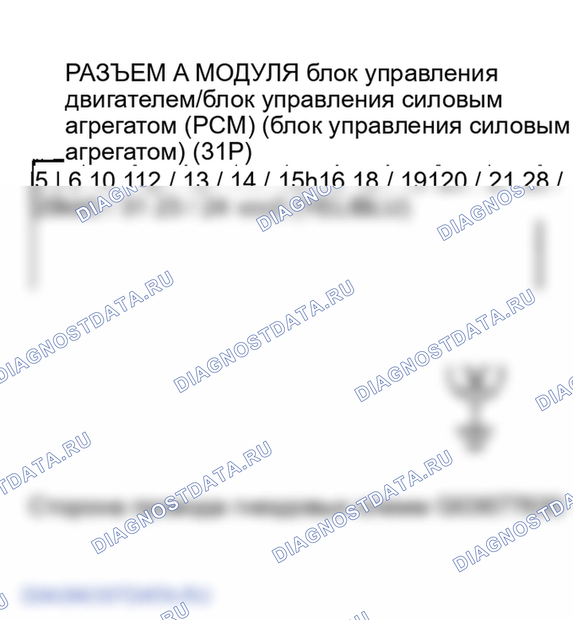 Рис. 33. Honda Element YH2
