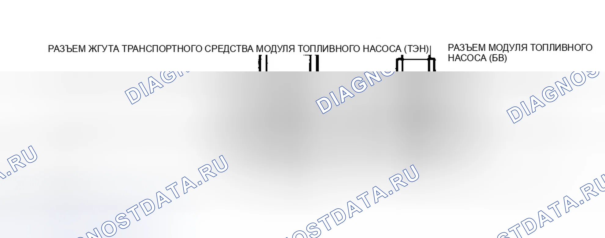 Рис. 113: Цепи и клеммы модуля топливного насоса. Ford Explorer II