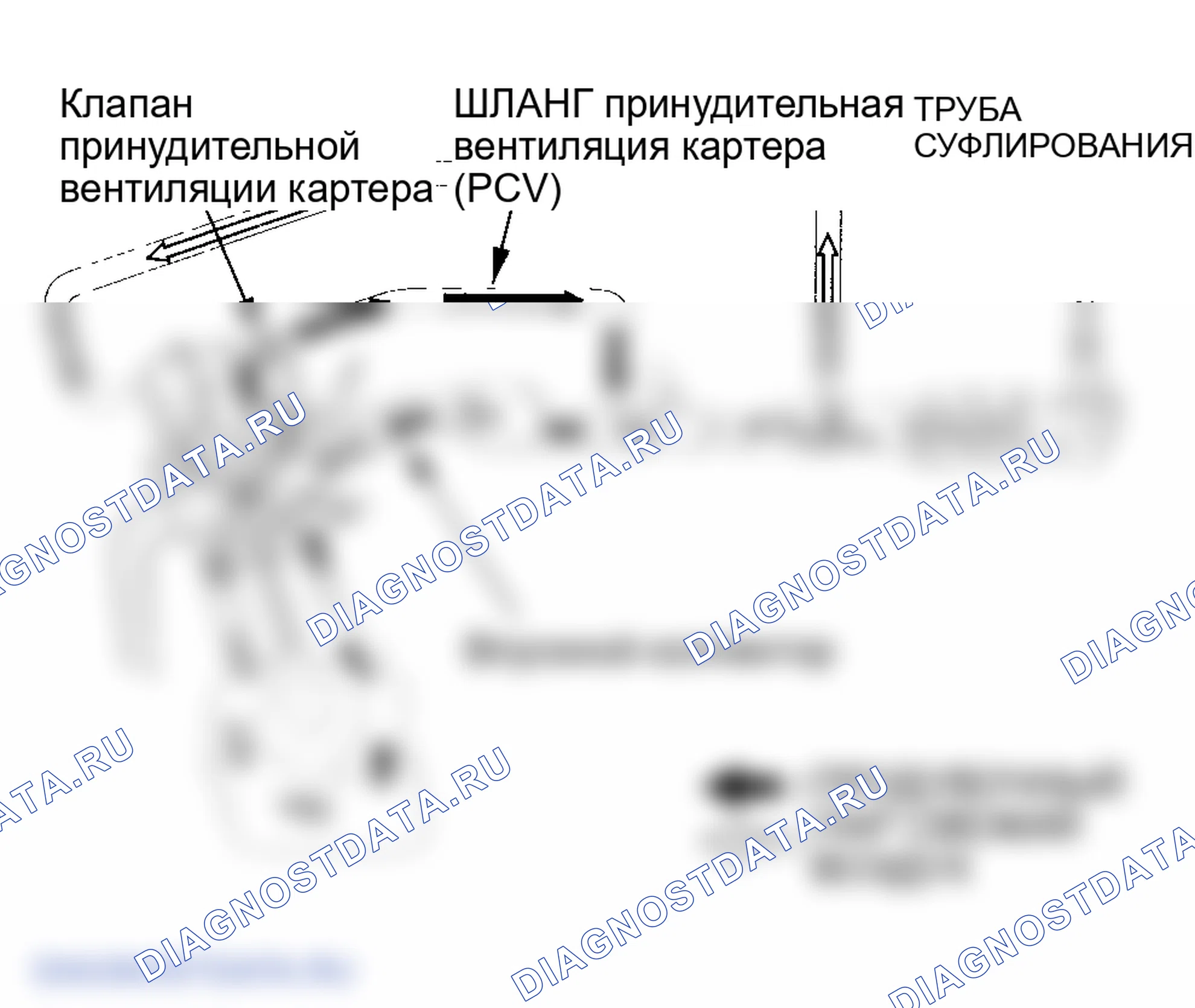 Рис. 35: Система принудительной вентиляции картера (принудительная вентиляция картера (PCV)). Honda S2000 AP2 рестайлинг