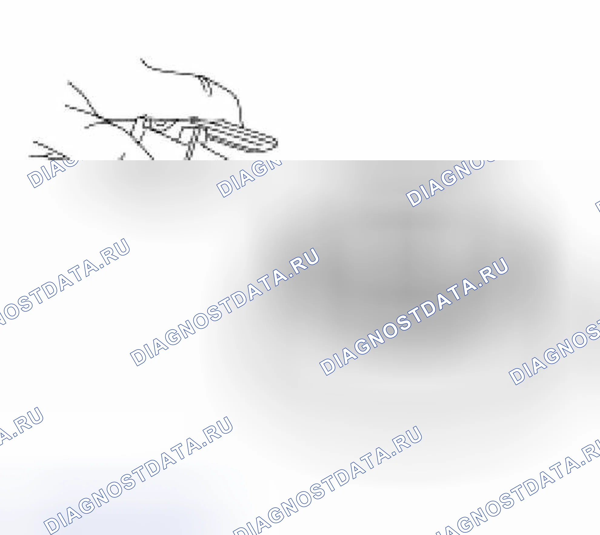 Рис. 501. Hyundai Lantra I