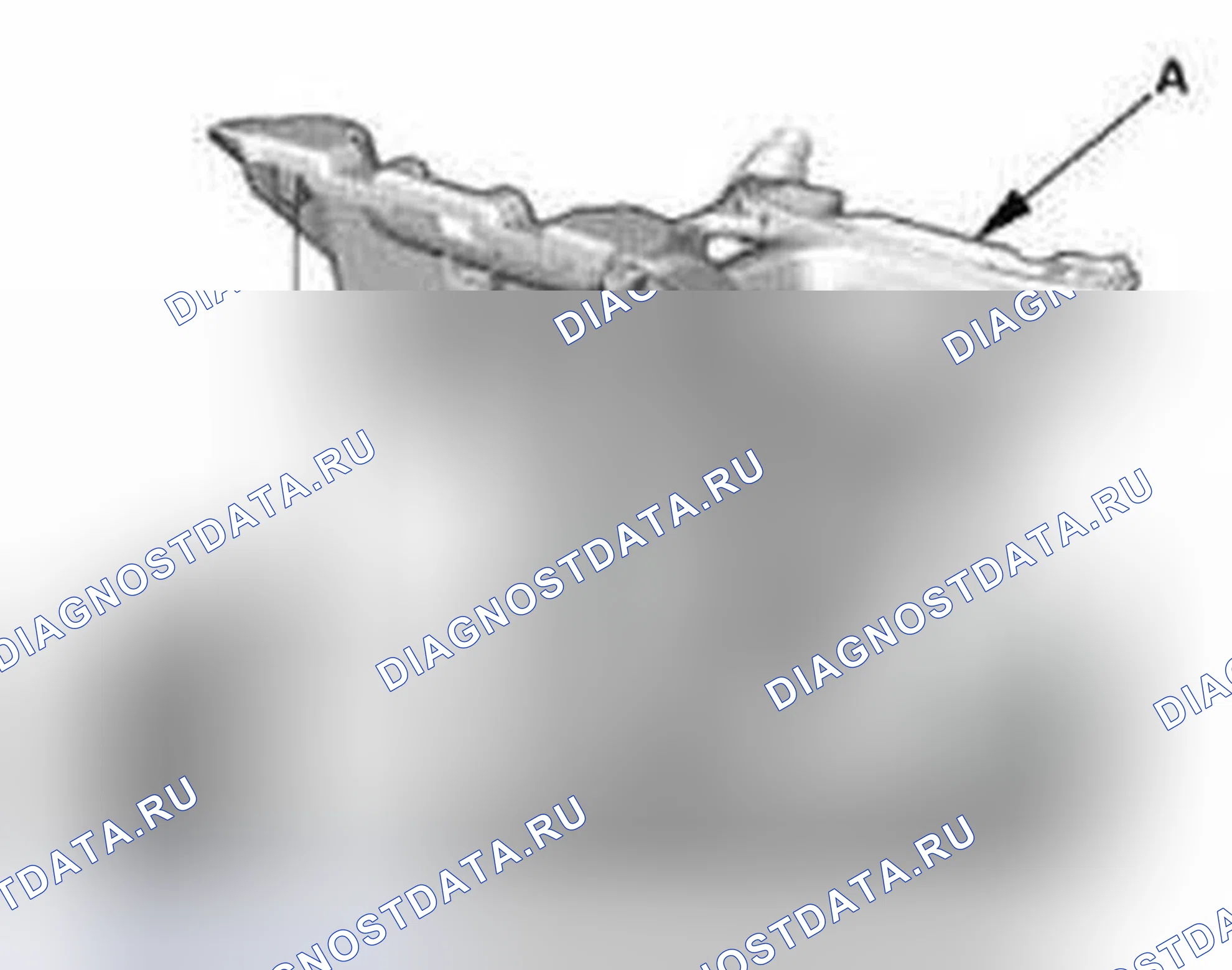 Рис. 544. Honda Civic IX