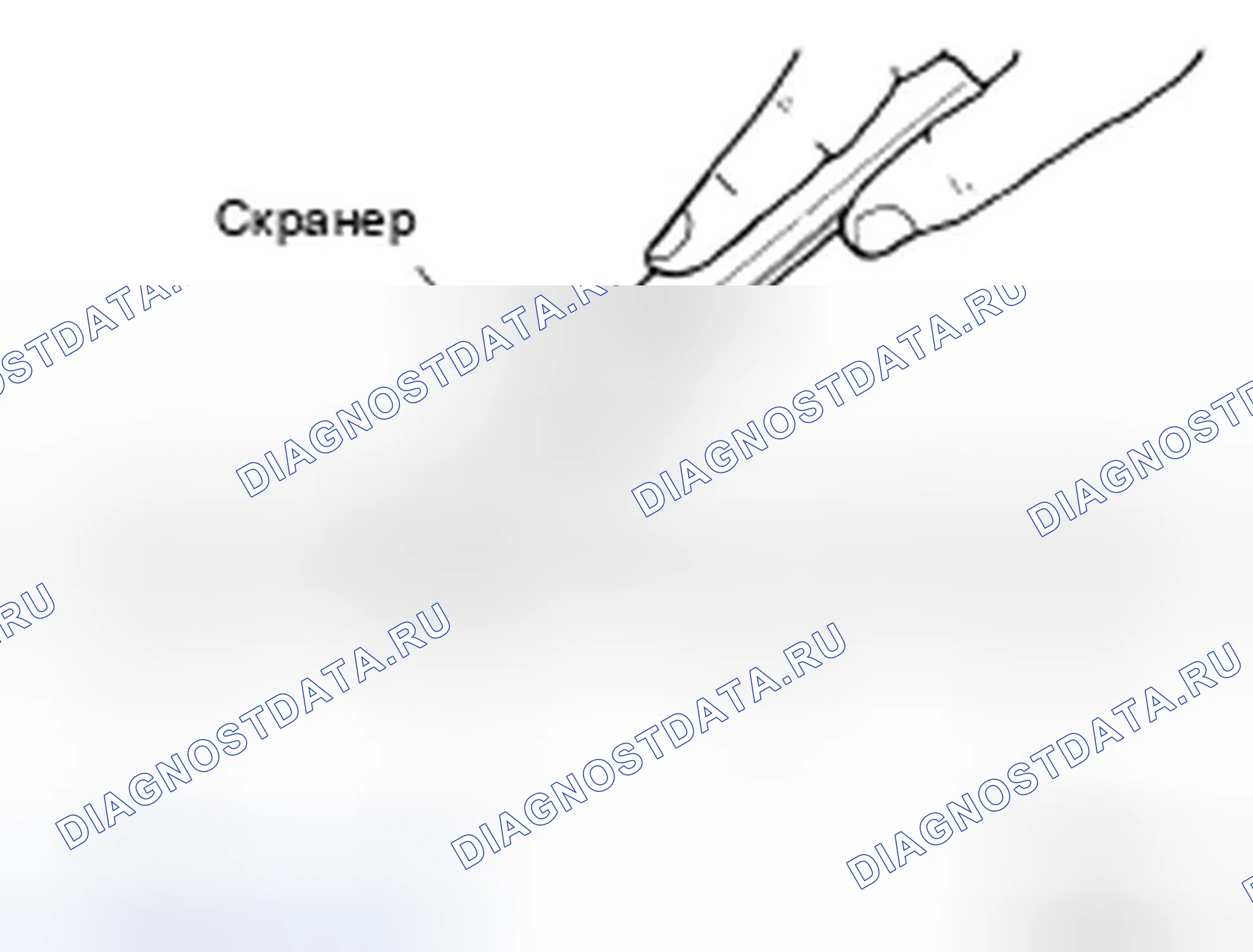 Рис. 17: ПРОЦЕДУРА УСТАНОВКИ ЖИДКОСТНОЙ ПРОКЛАДКИ. Infiniti FX35 I рестайлинг