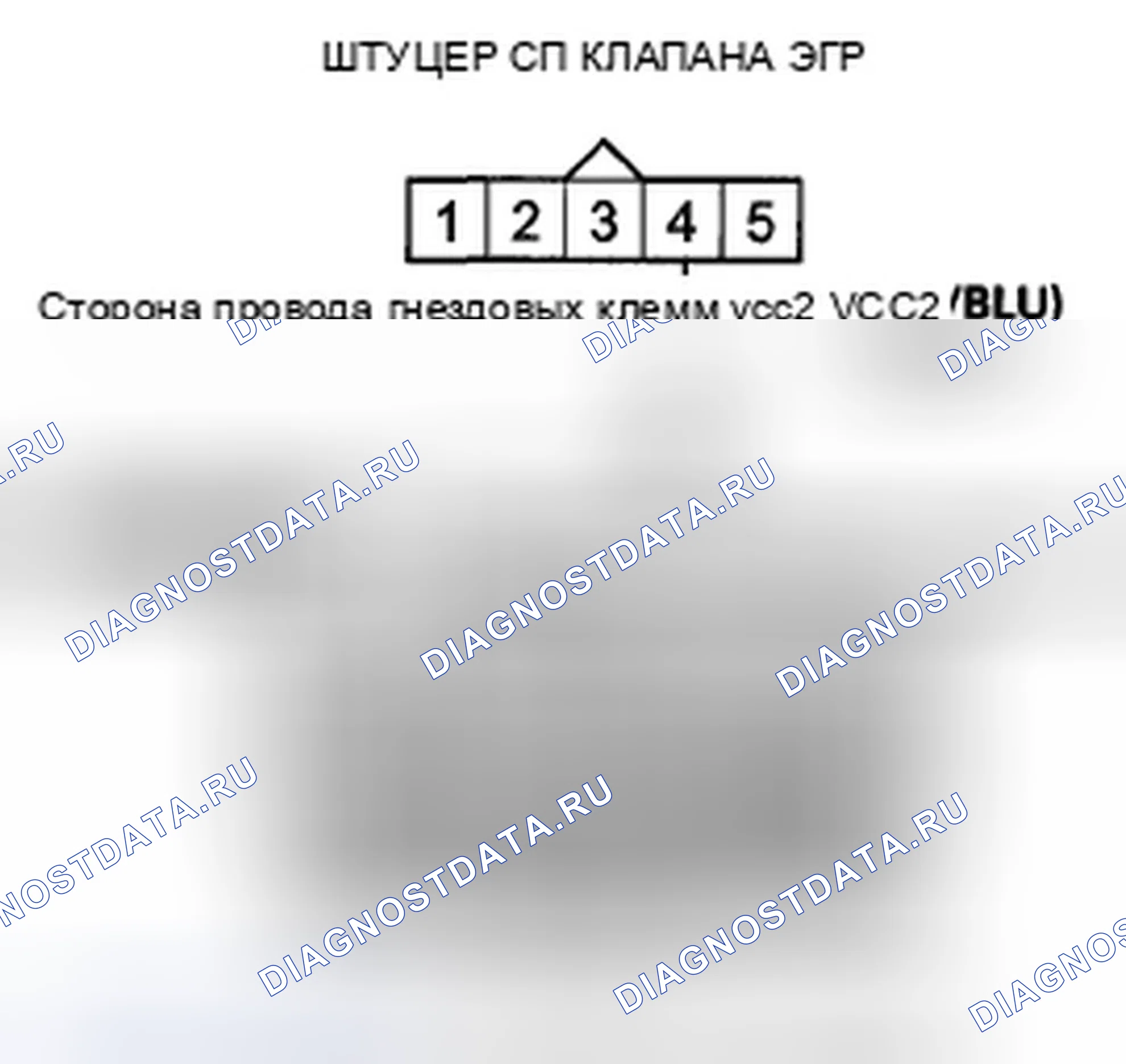 Рис. 509. Honda Accord VIII рестайлинг