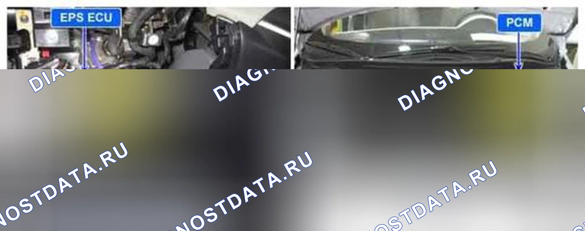 Рис. 135: Расположение компонентов. BMW 6 серия F06/F13/F12