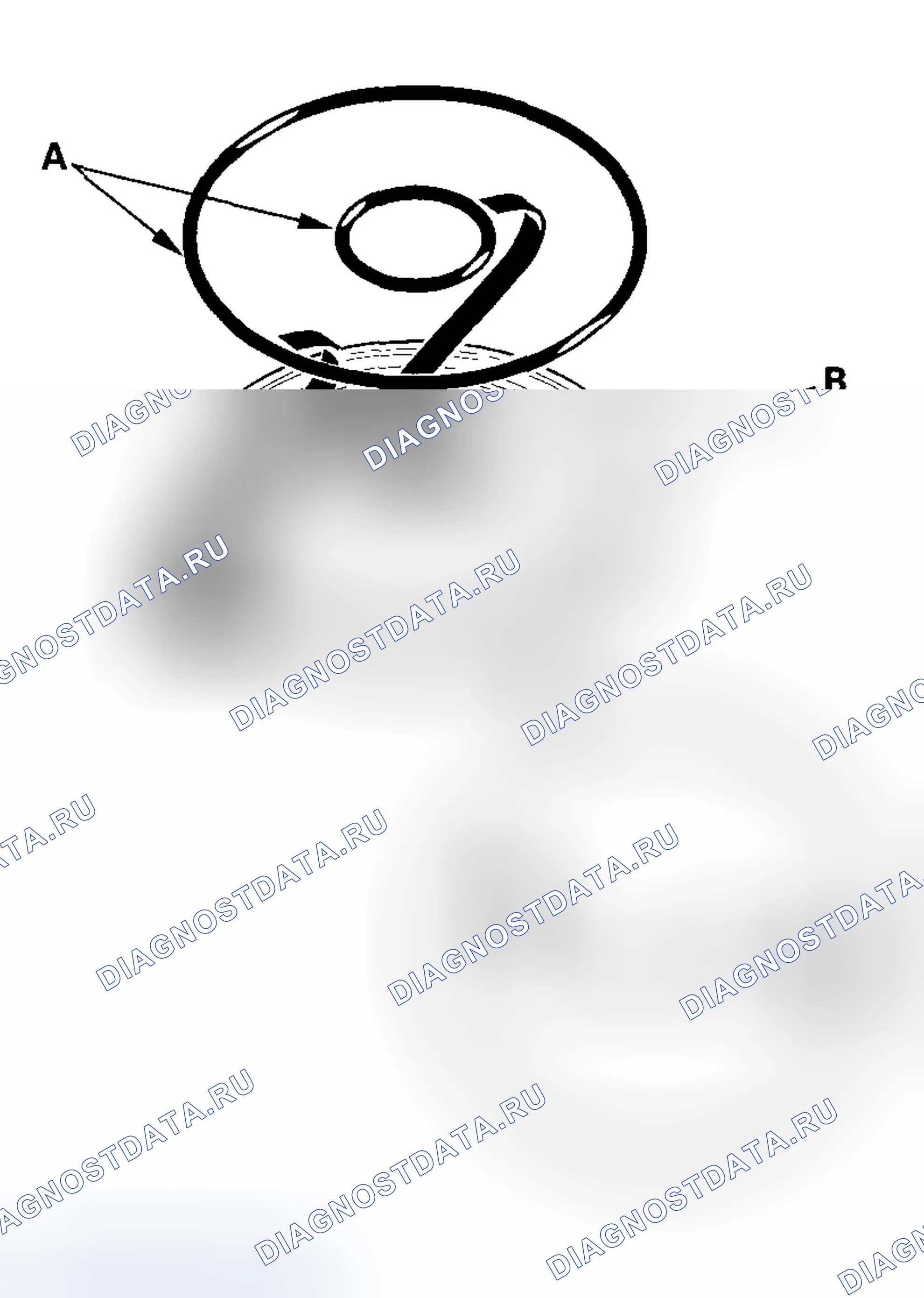 Рис. 331. Honda Element YH2