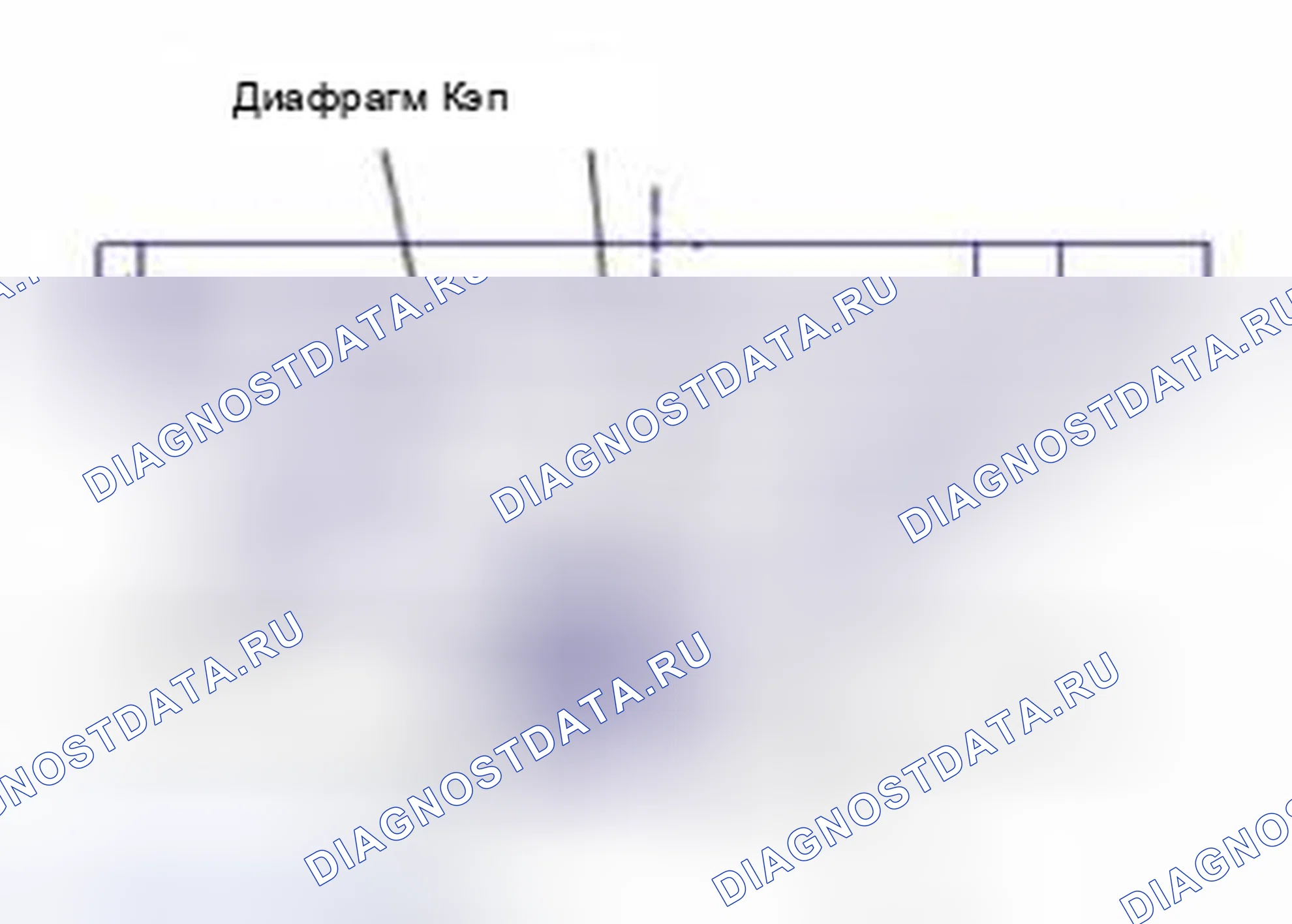 Рис. 6. Haval Beast (Shenshou) I