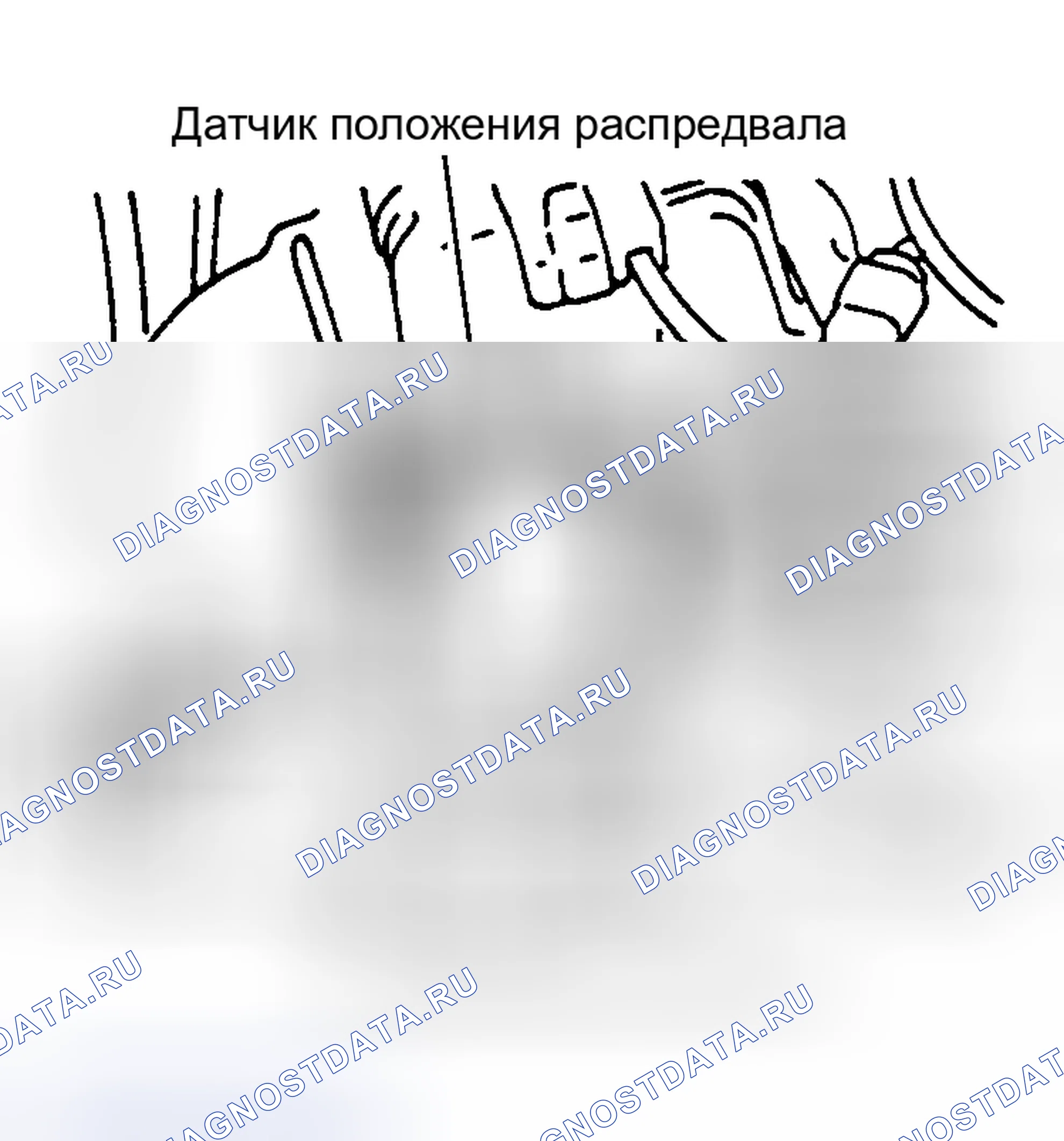 Рис. 7: Регулировка угла опережения зажигания (Aerio). Suzuki Vitara I