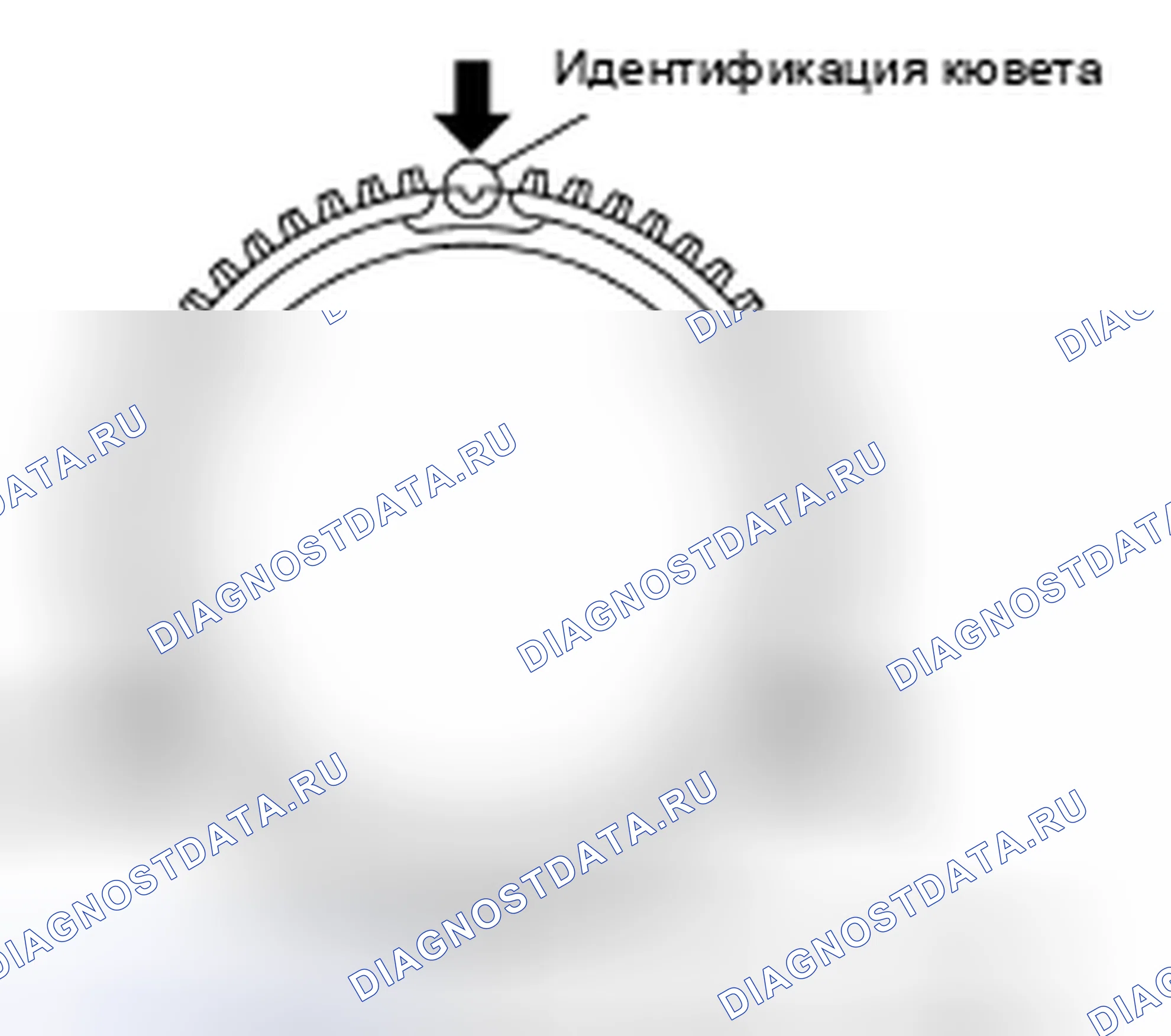Рис. 198. Nissan 370Z I рестайлинг
