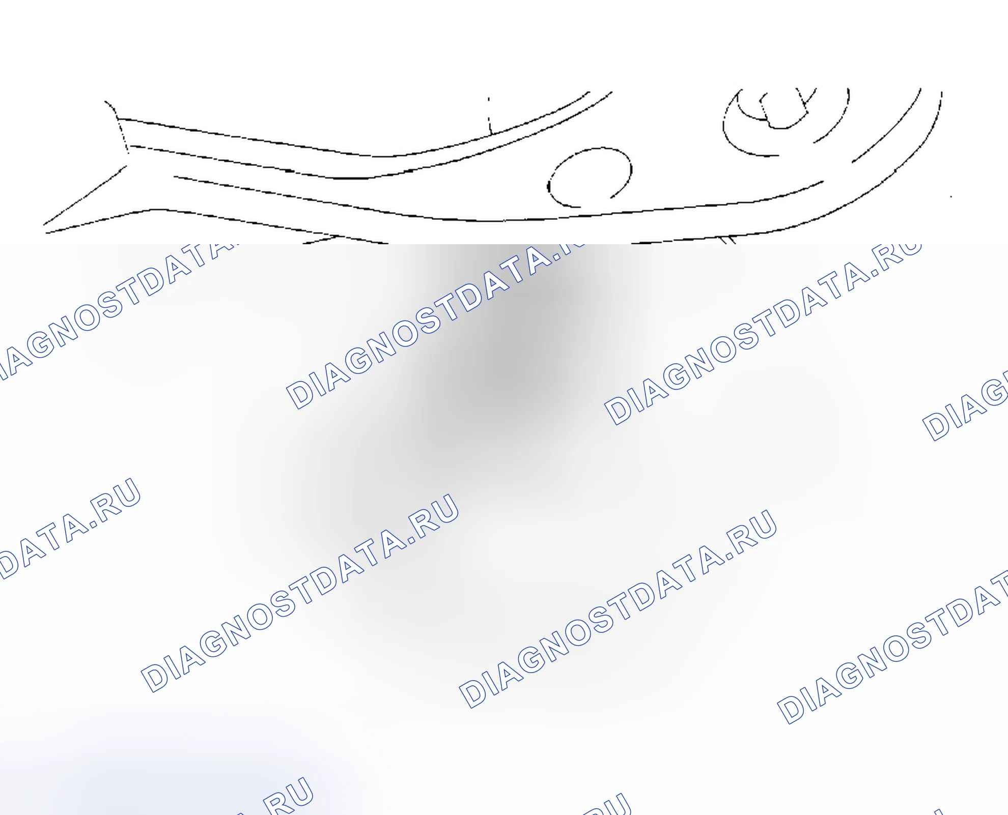 Рис. 7. Toyota Avalon XX20 рестайлинг