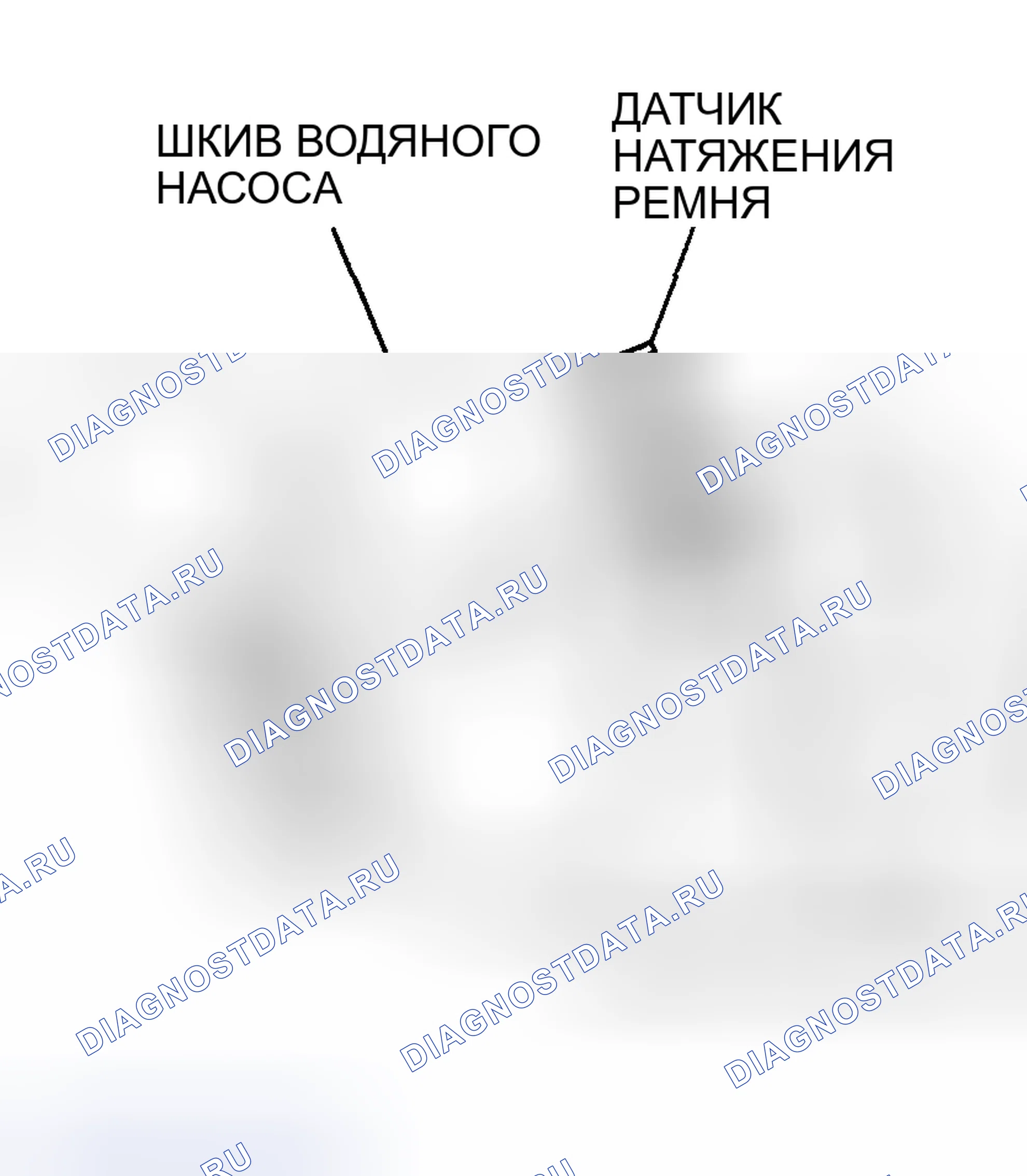 Рис. 564. Honda Edix I