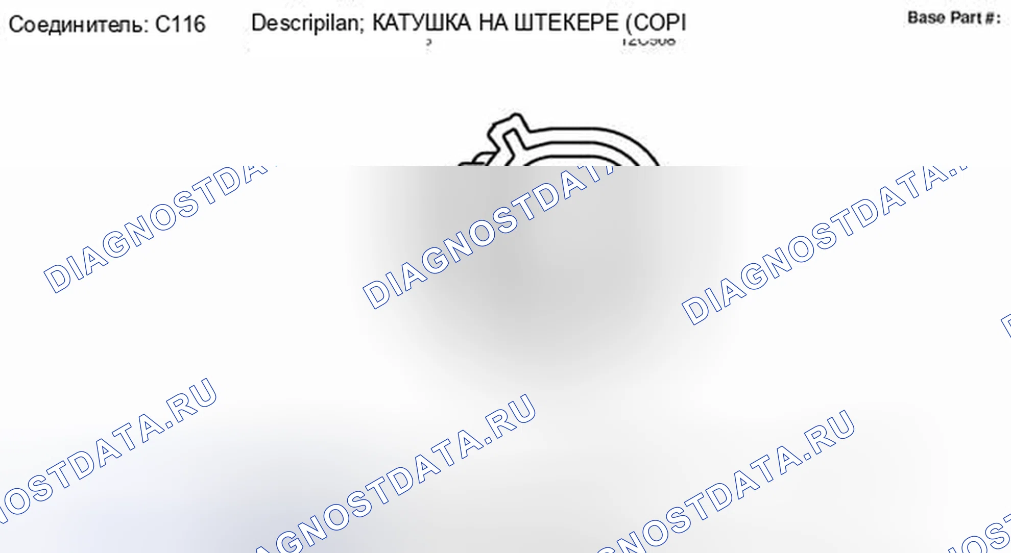 Рис. 17: Вид с торца разъема катушки на штекере 6 (C116). Hyundai Lafesta I рестайлинг