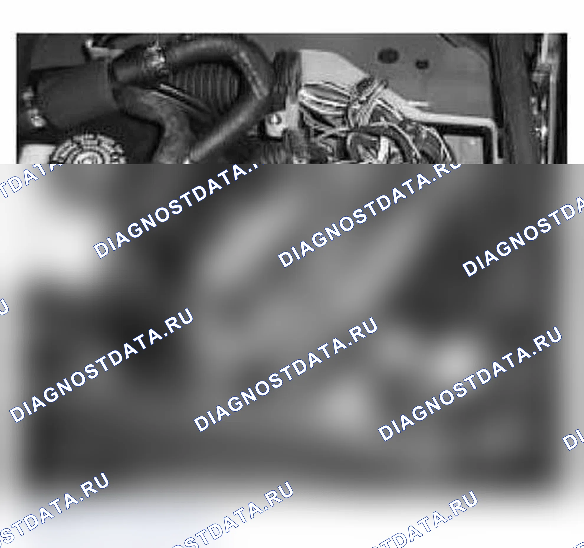 Рис. 489: СИСТЕМА УПРАВЛЕНИЯ ДВИГАТЕЛЕМ SIEMENS. BMW M3 E46