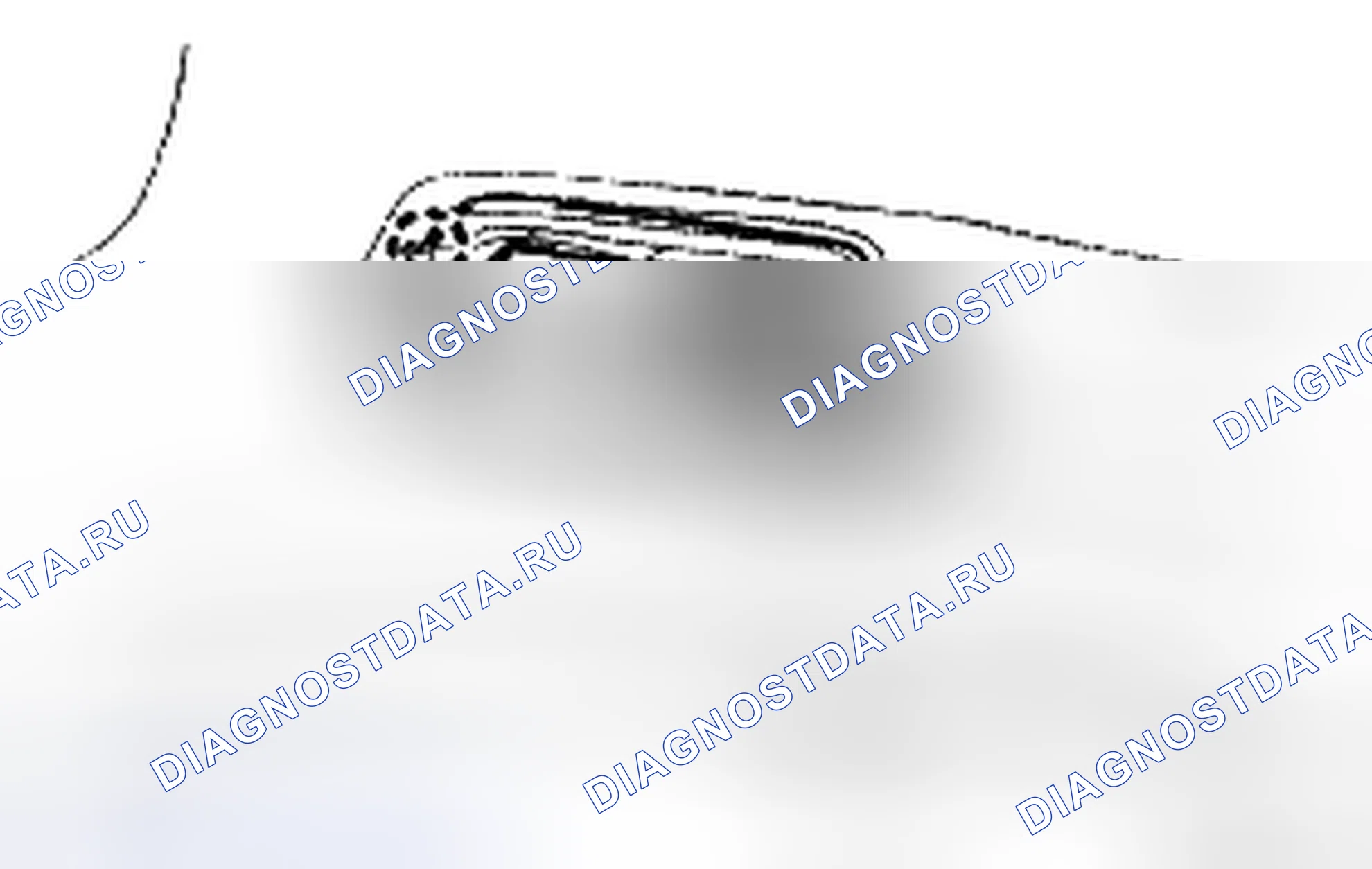 Рис. 57. Toyota Camry XV40