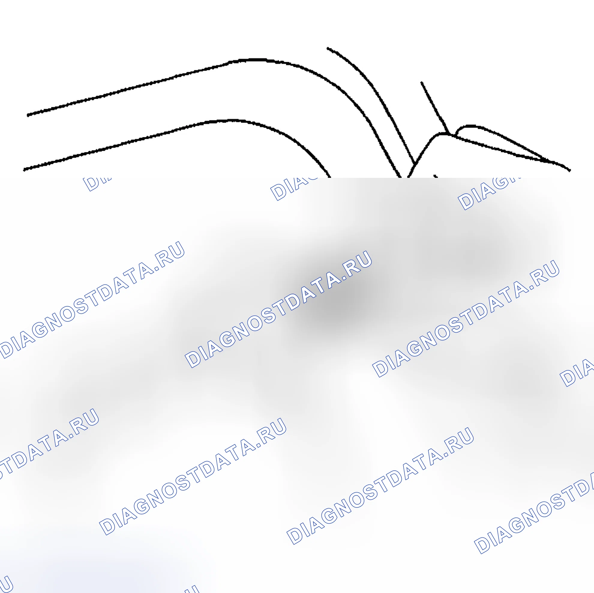 Рис. 258. Hyundai Venue I