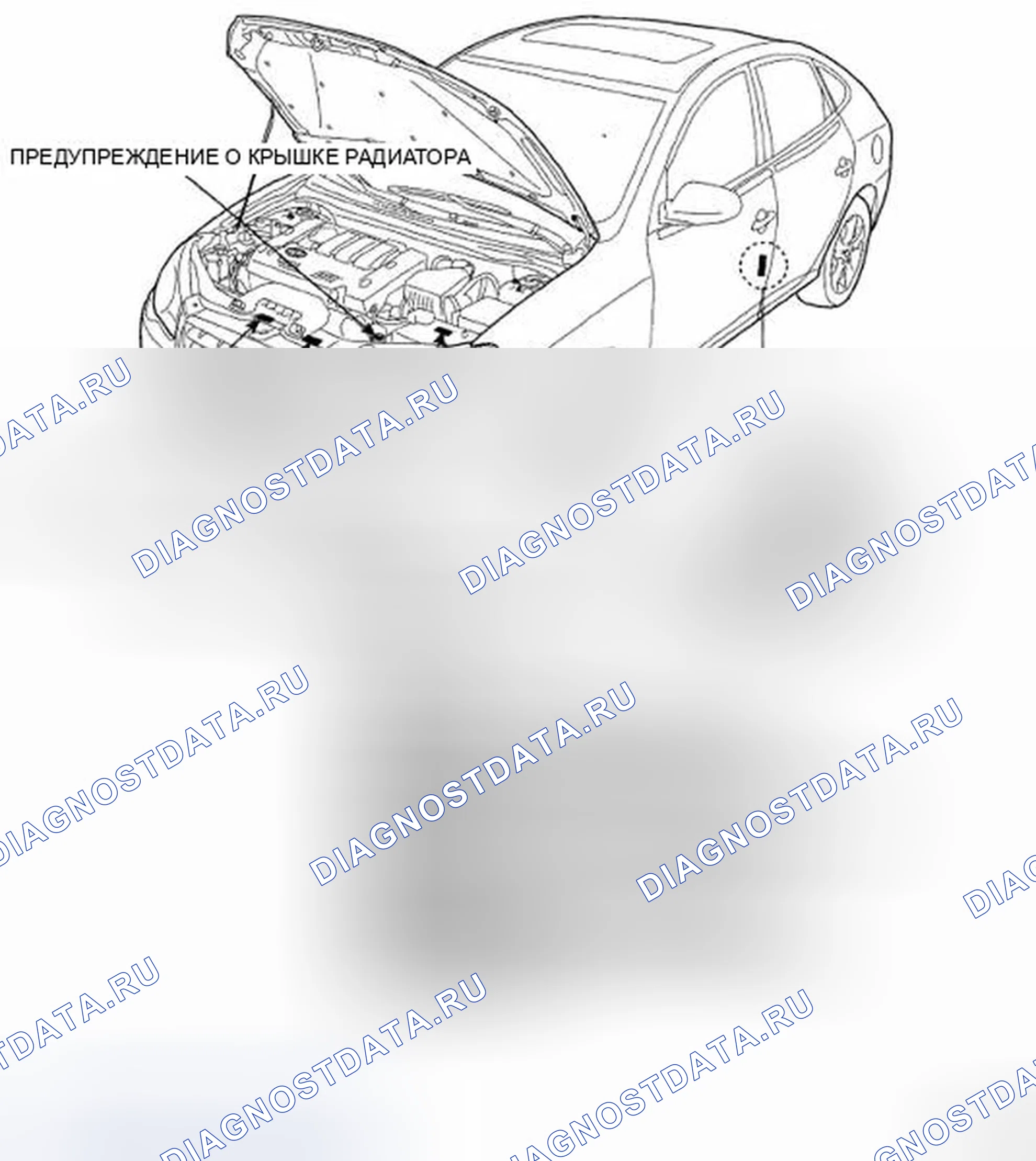 Рис. 16: ПРЕДУПРЕДИТЕЛЬНЫЕ / ПРЕДУПРЕЖДАЮЩИЕ НАДПИСИ. Hyundai Elantra IV