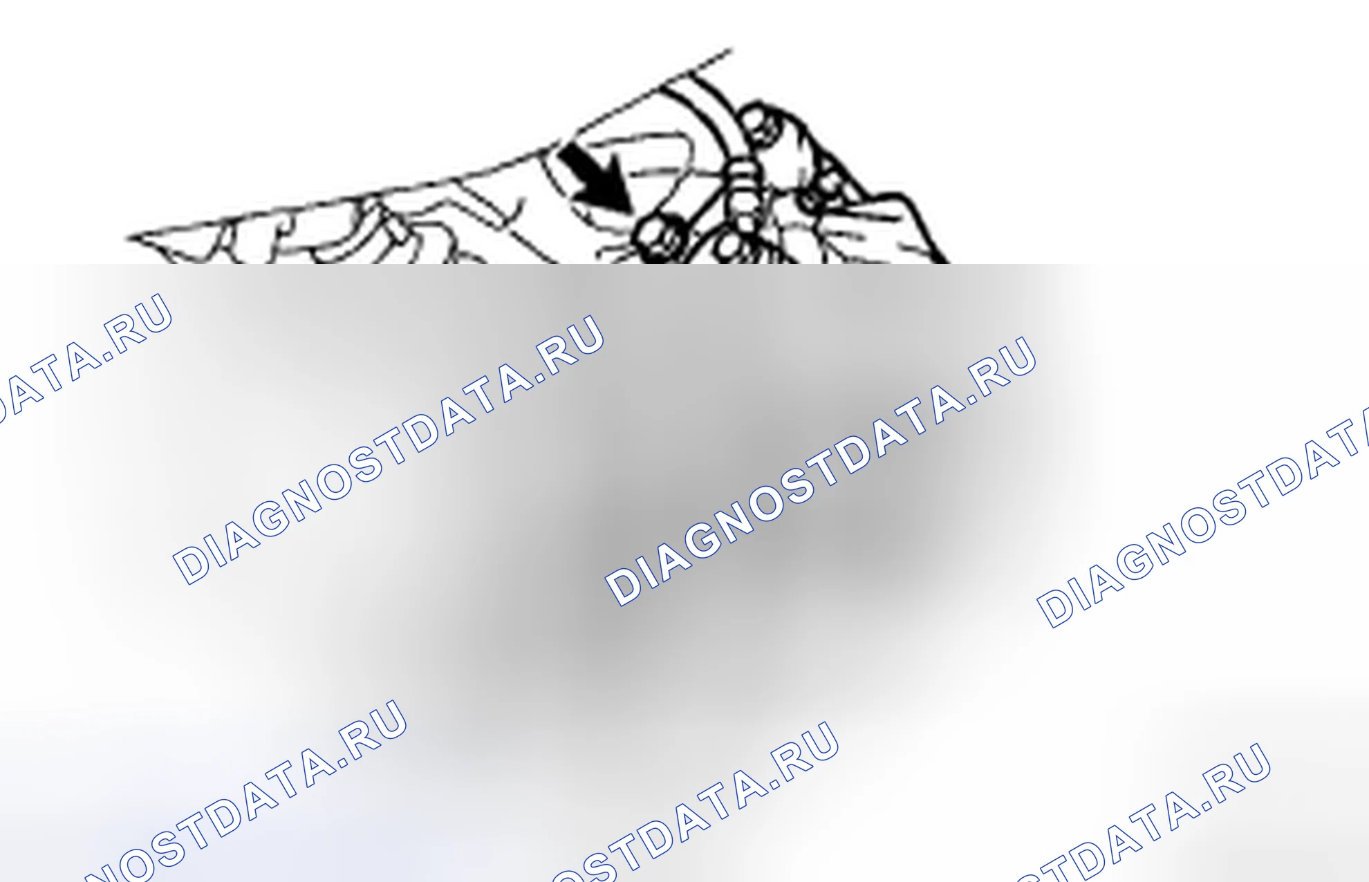 Рис. 10. Honda Accord IX