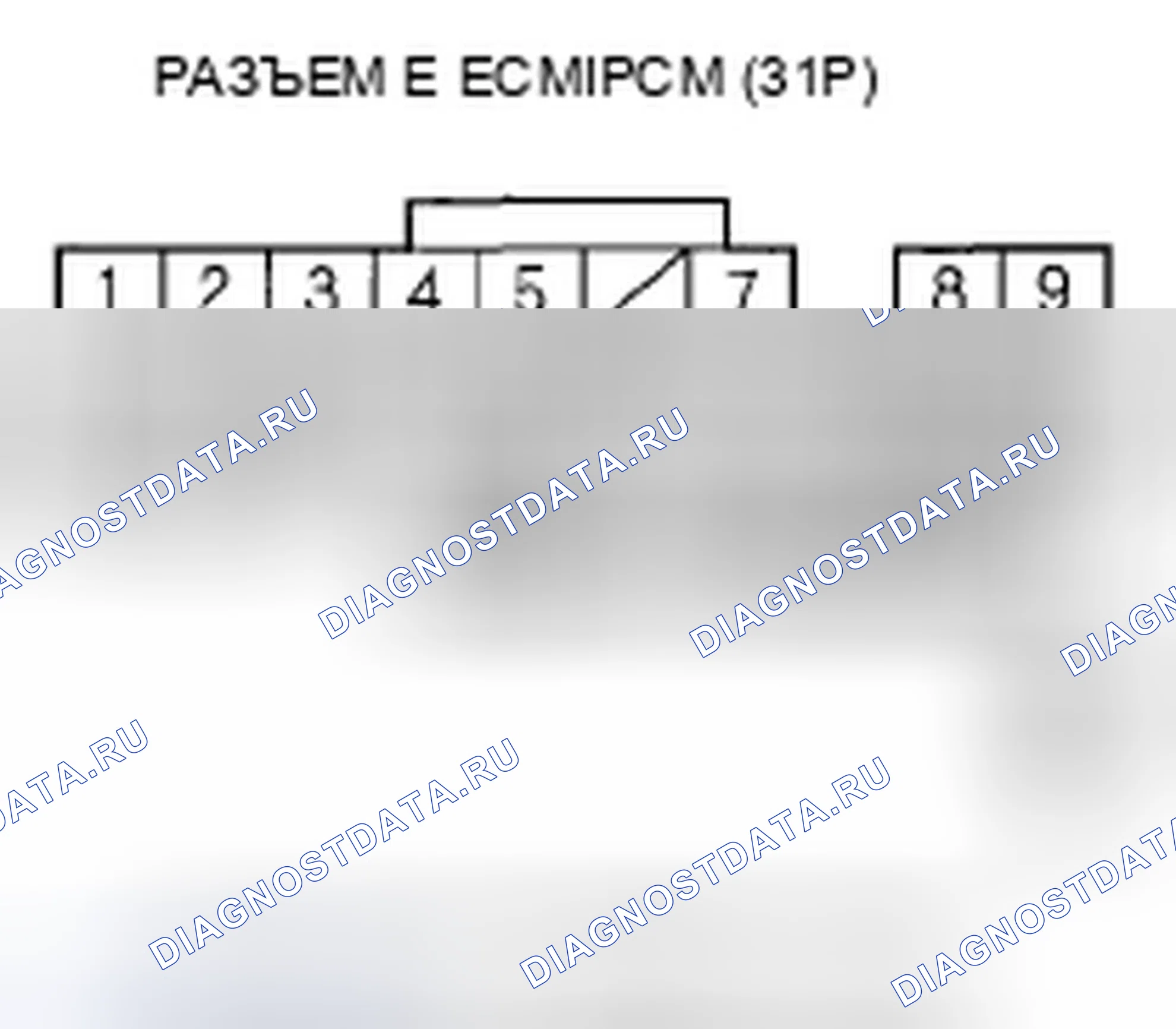 Рис. 402. Honda Element YH2 рестайлинг 2