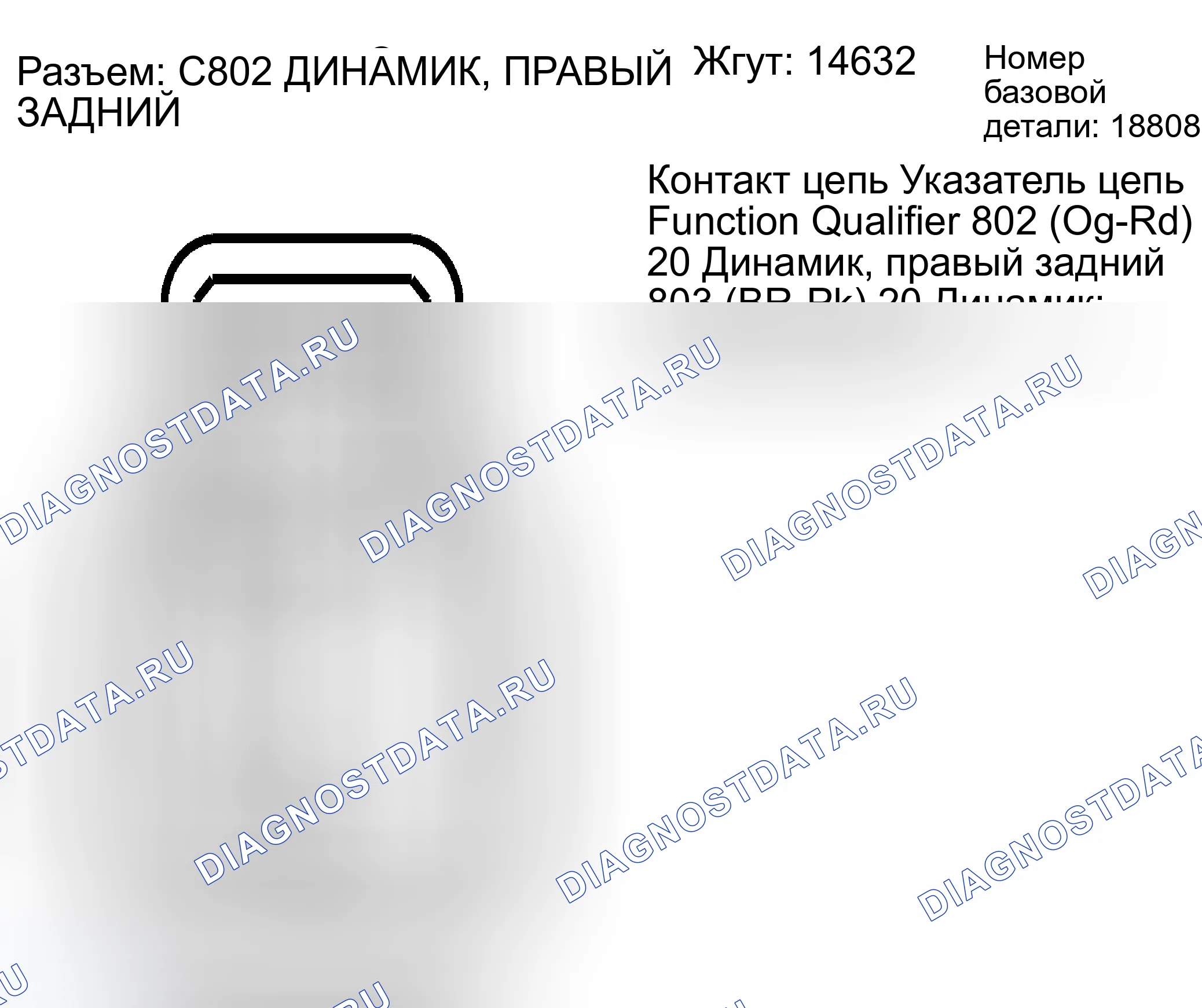 Рис. 202: Идентификация разъема C802. Ford Escape I рестайлинг