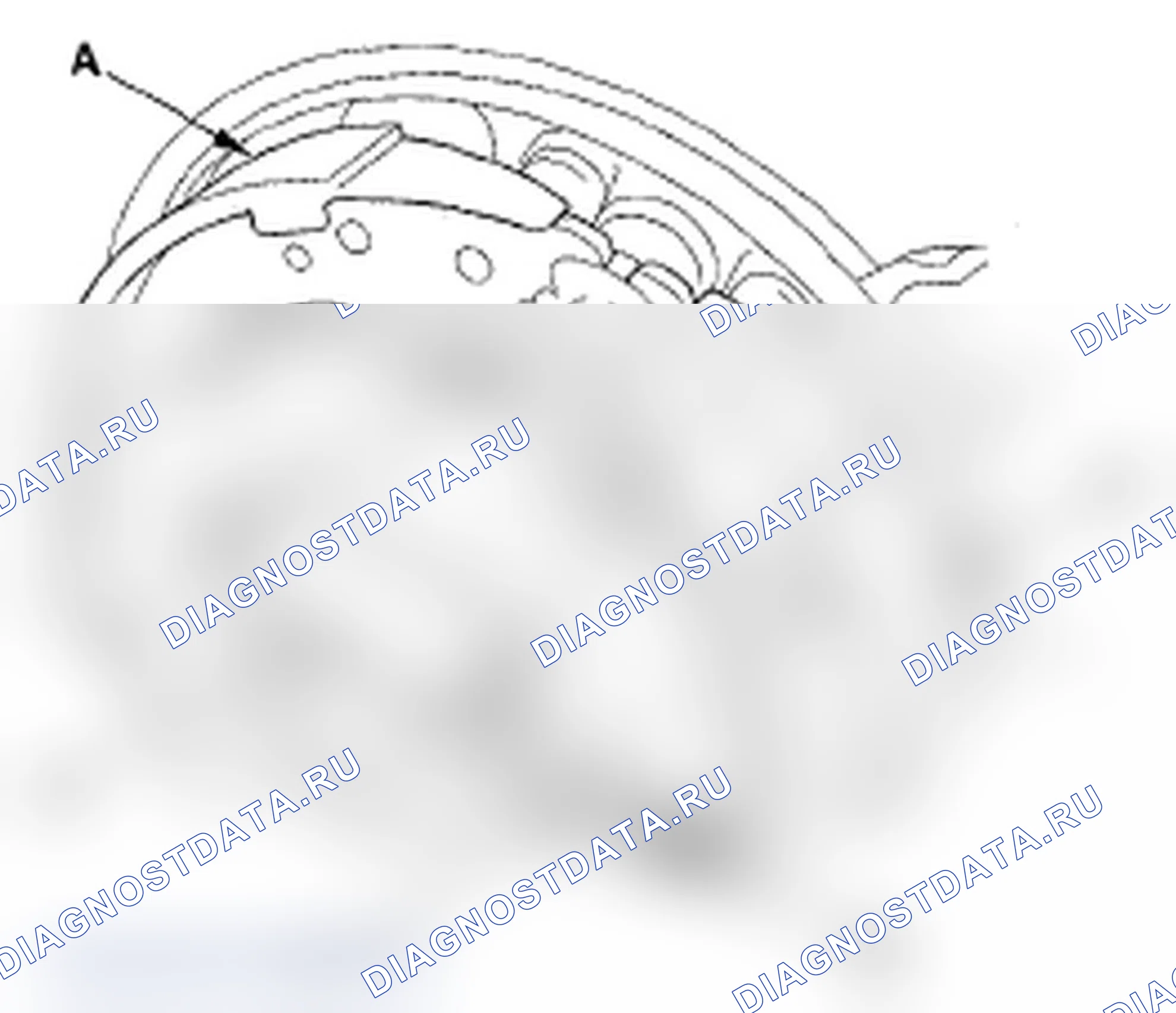Рис. 69. Acura RDX I