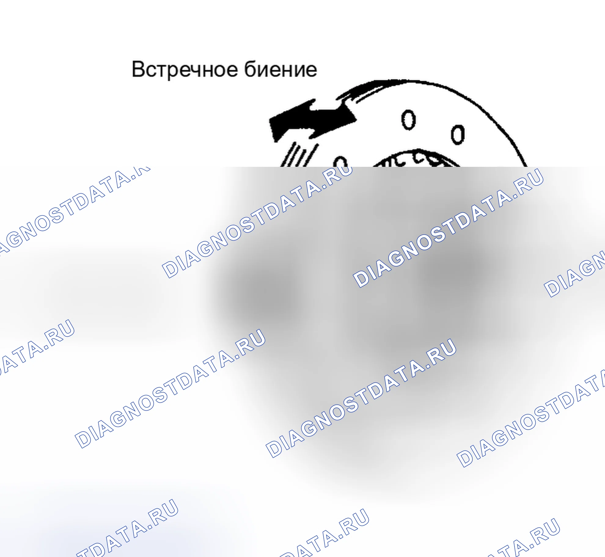 Рис. 9: Диск сцепления. Honda Logo I