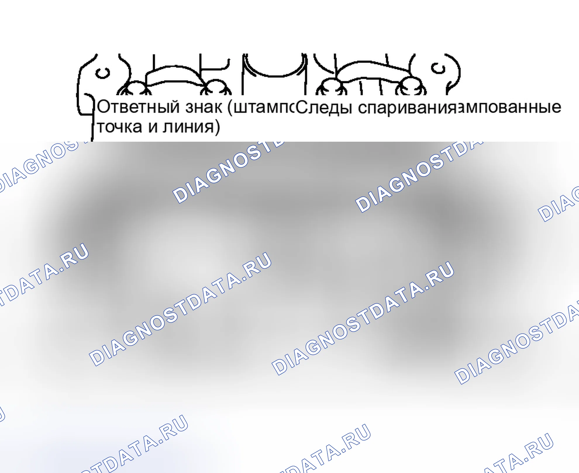 Рис. 56. Honda Stepwgn I