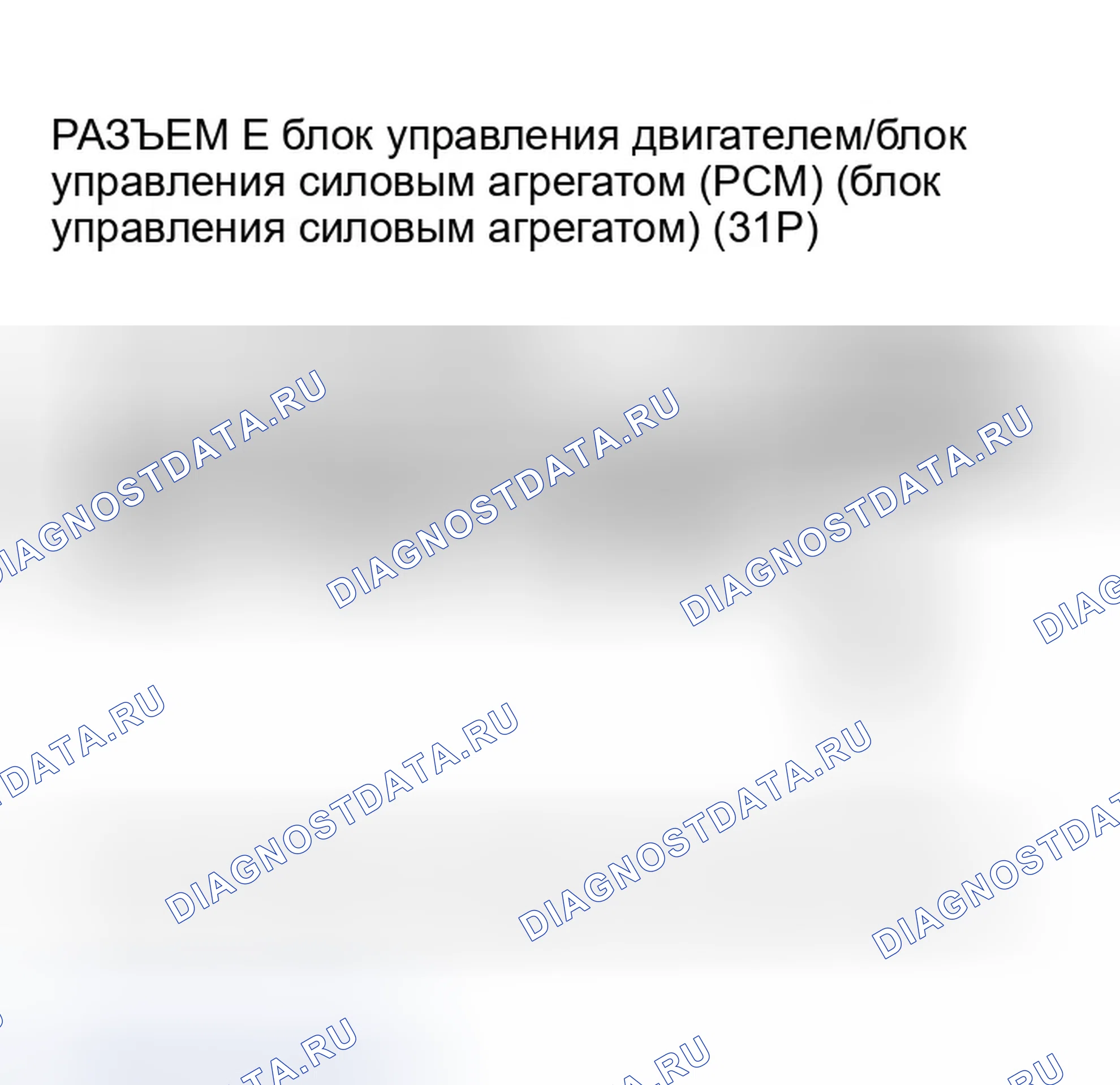 Рис. 113. Honda Element YH2
