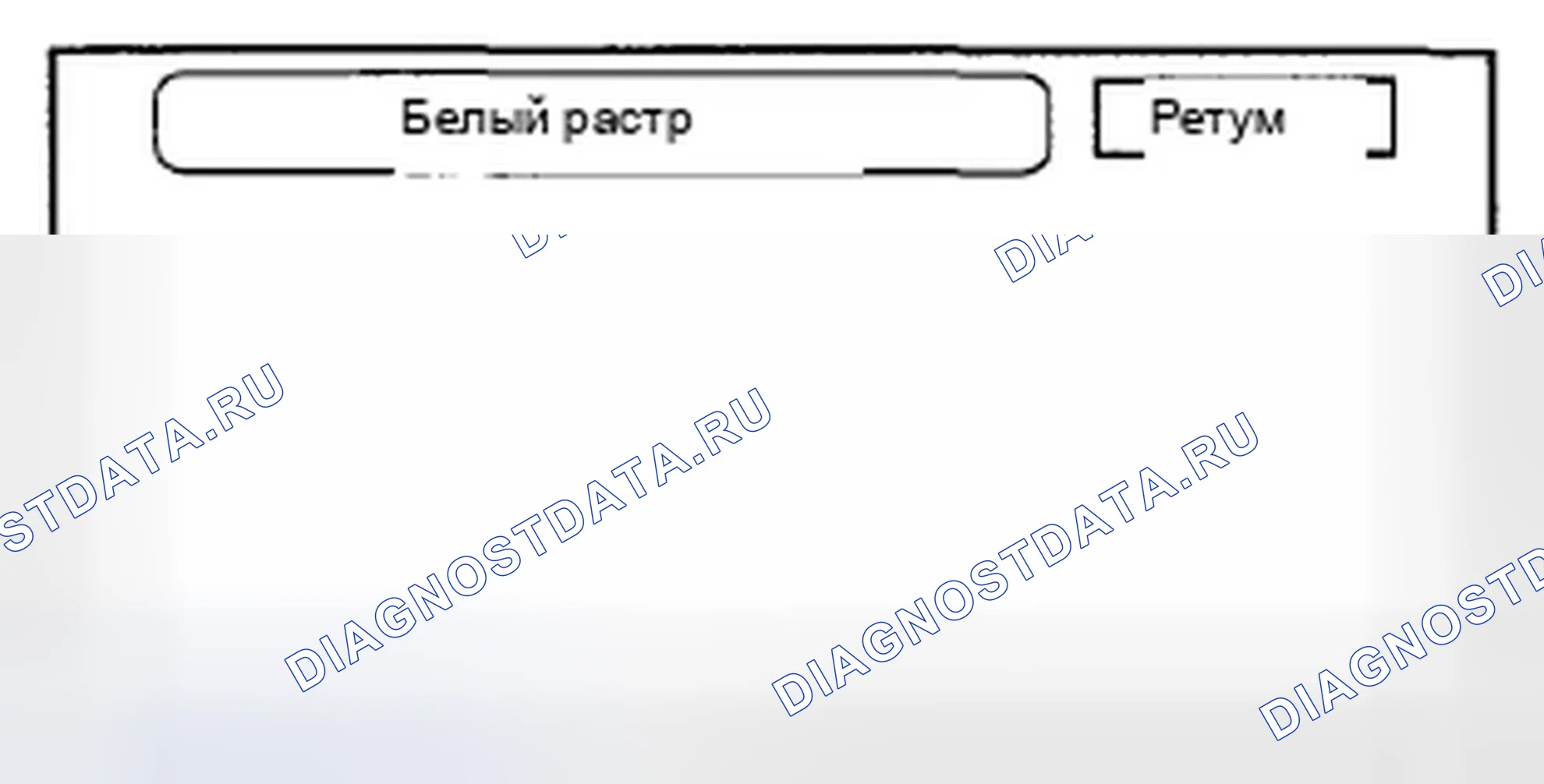 Рис. 591: Белый растр. Honda Crosstour I