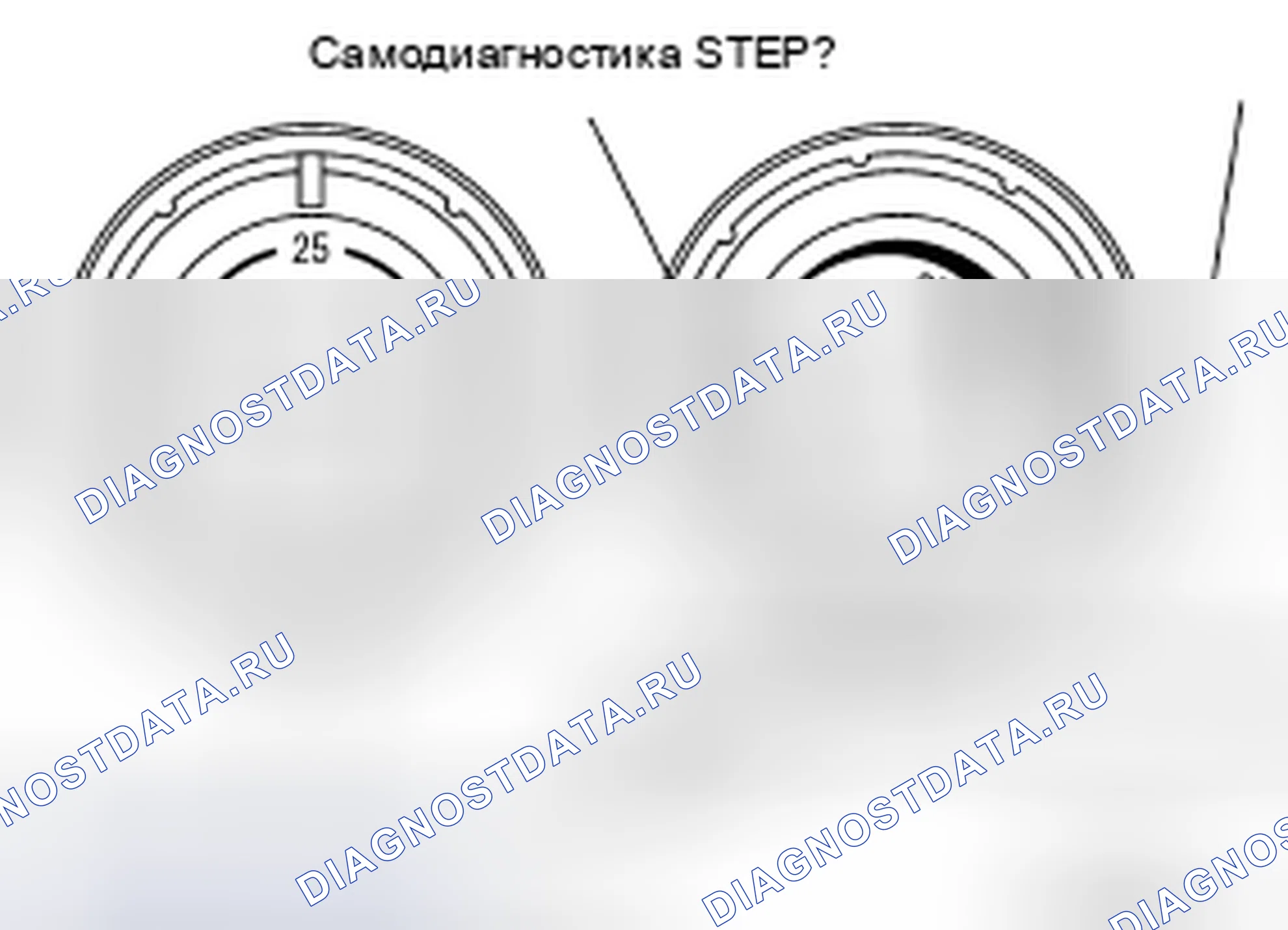 Рис. 8. Nissan X-Trail I