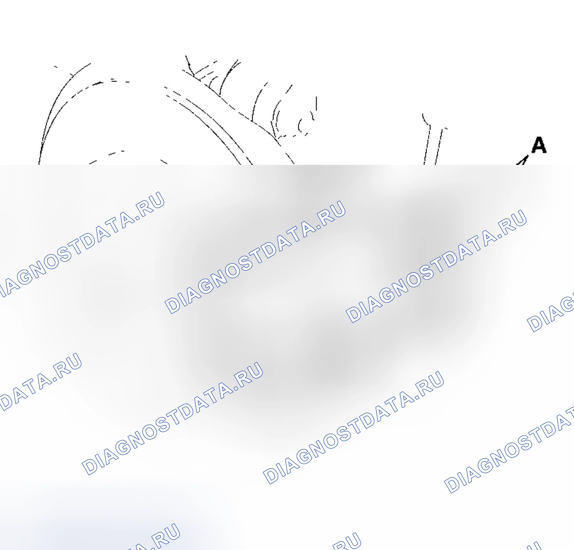 Рис. 30. Honda Element YH2
