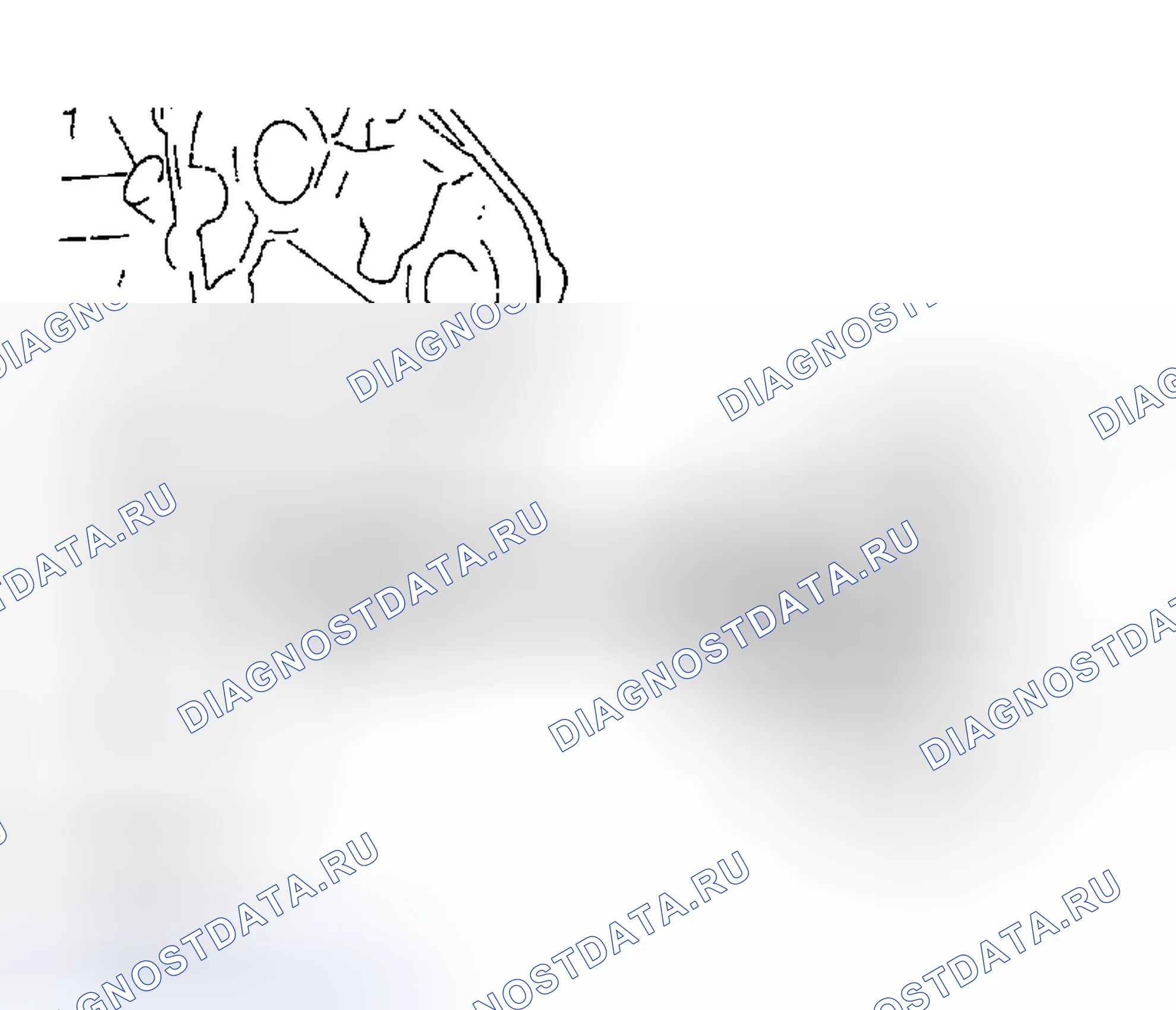 Рис. 336. Nissan 350Z I