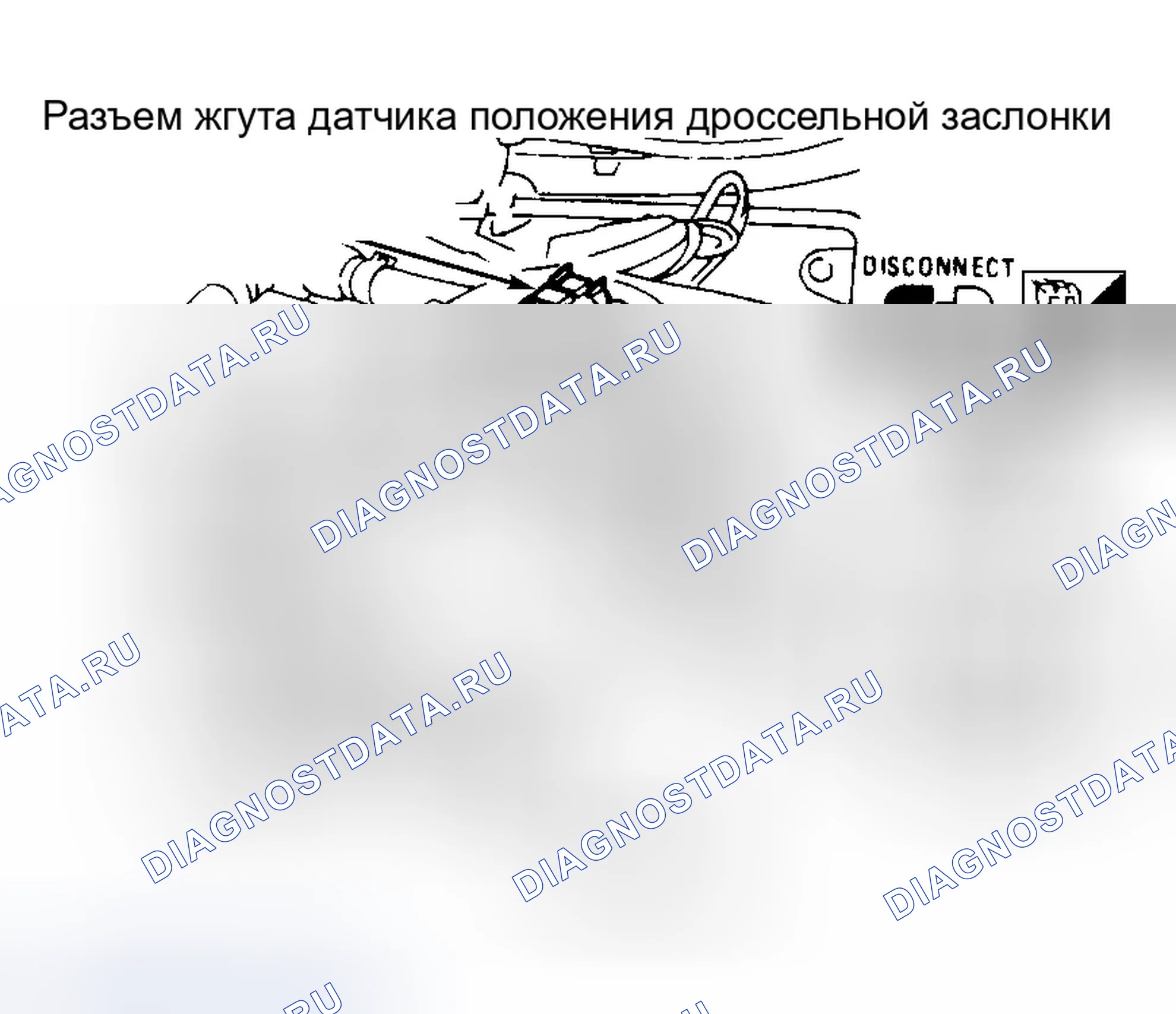 Рис. 6. Infiniti I30 I