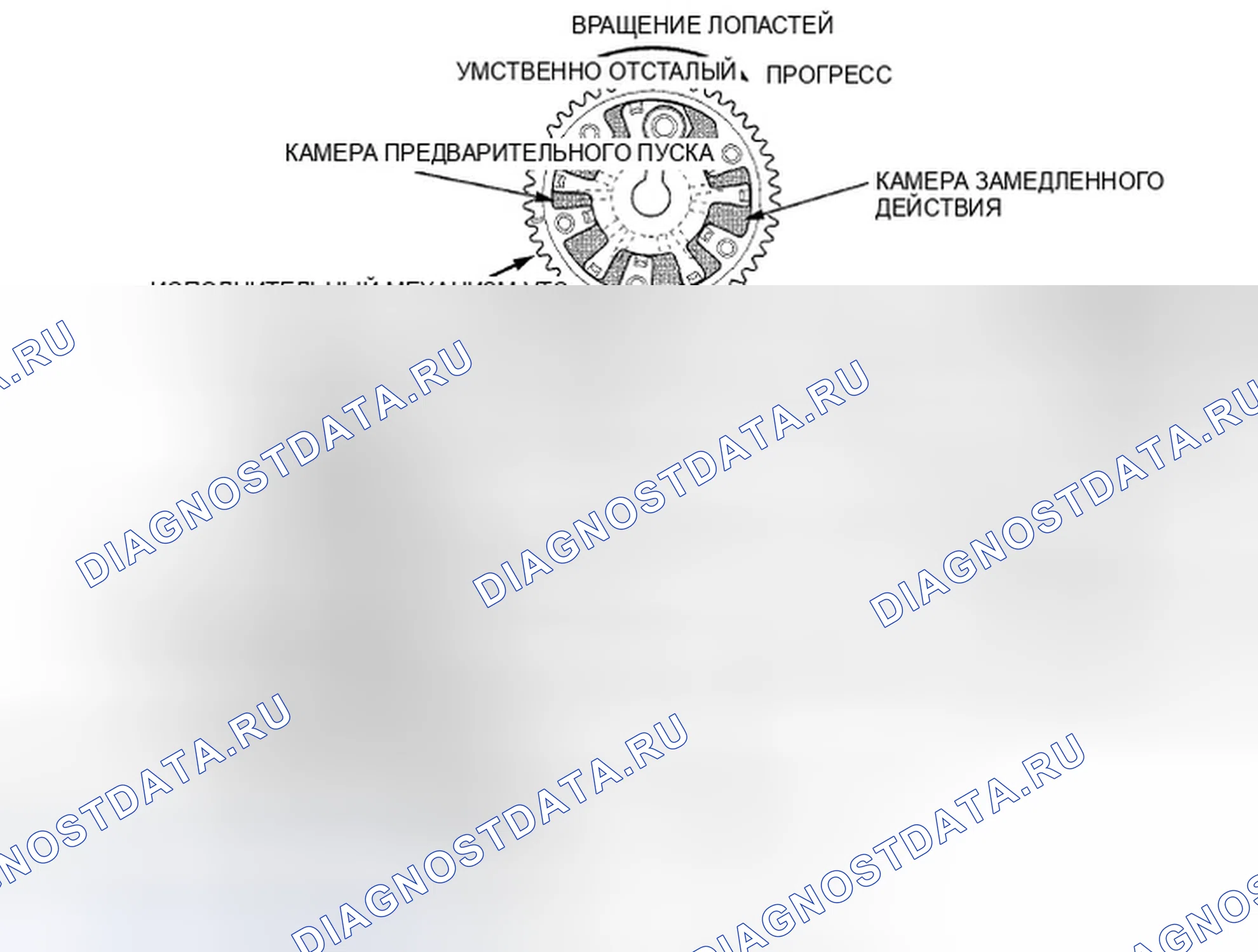 Рис. 578: Схема системы VTC. Honda Crosstour I