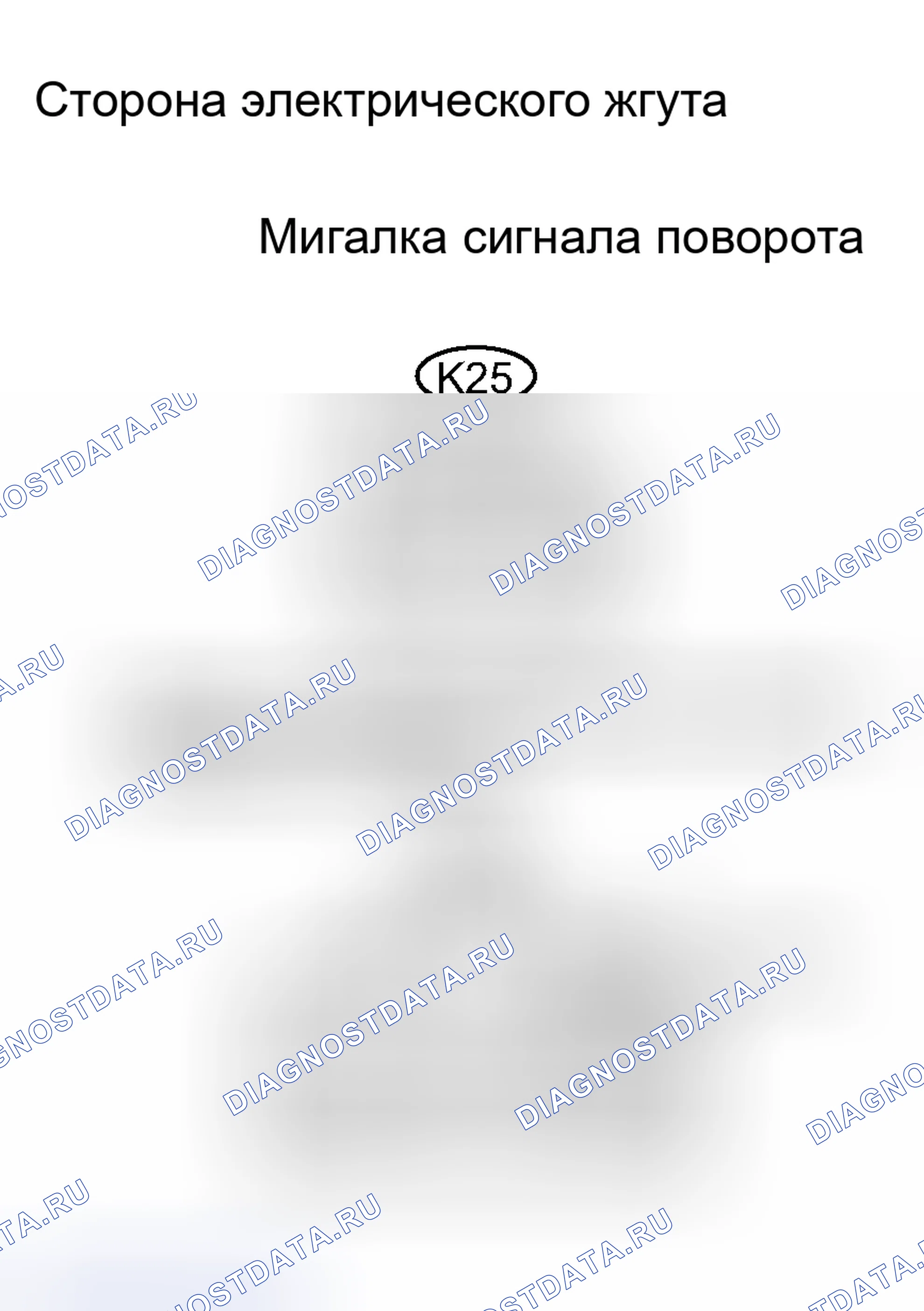 Рис. 55. Haval H8 I