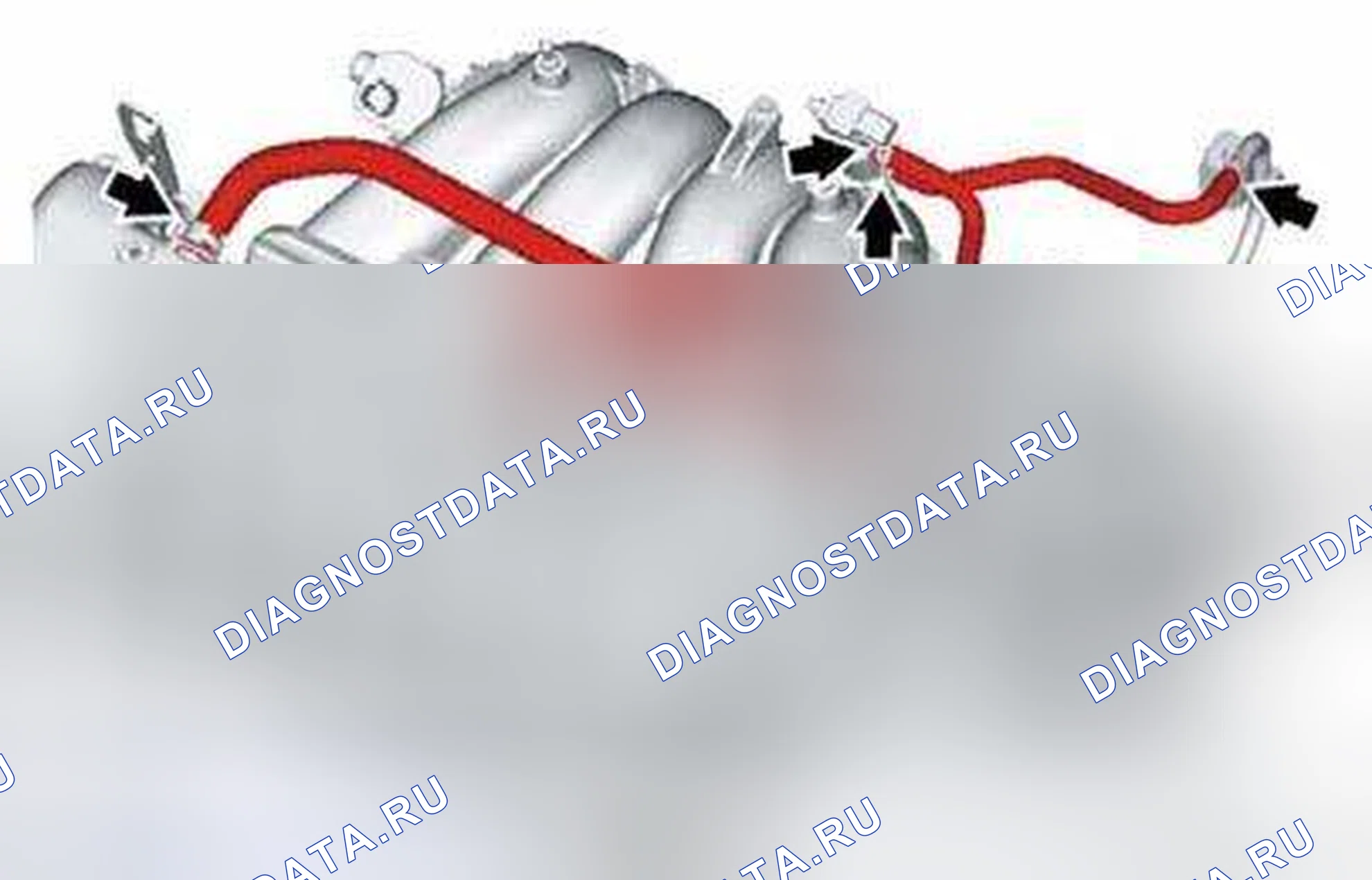 Рис. 16: Проверка шлангов и трубок, связанных с выбросами. Suzuki Kizashi I