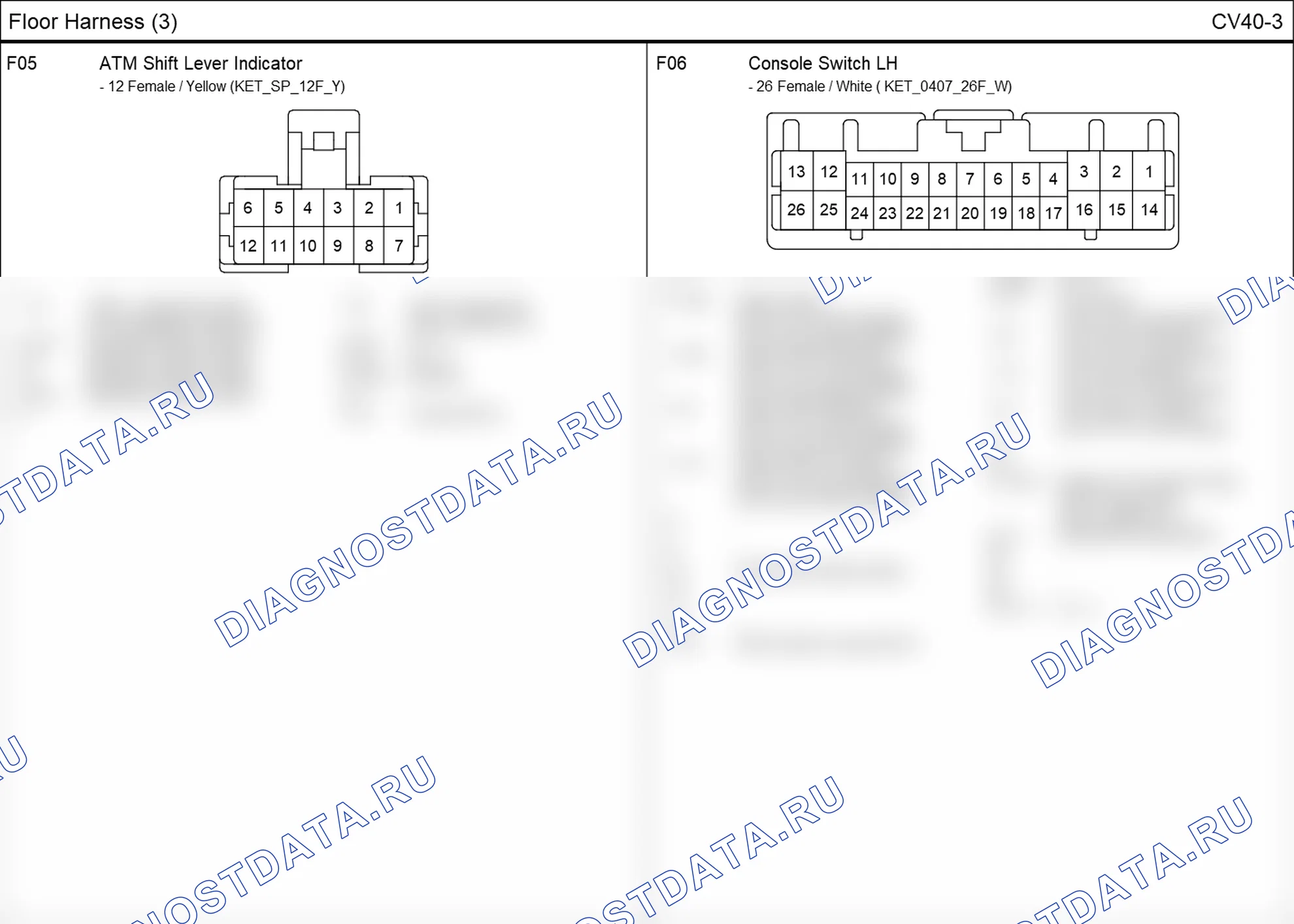 Распиновка разъёма F06 — floor harness. Hyundai Santafe Sport DMA