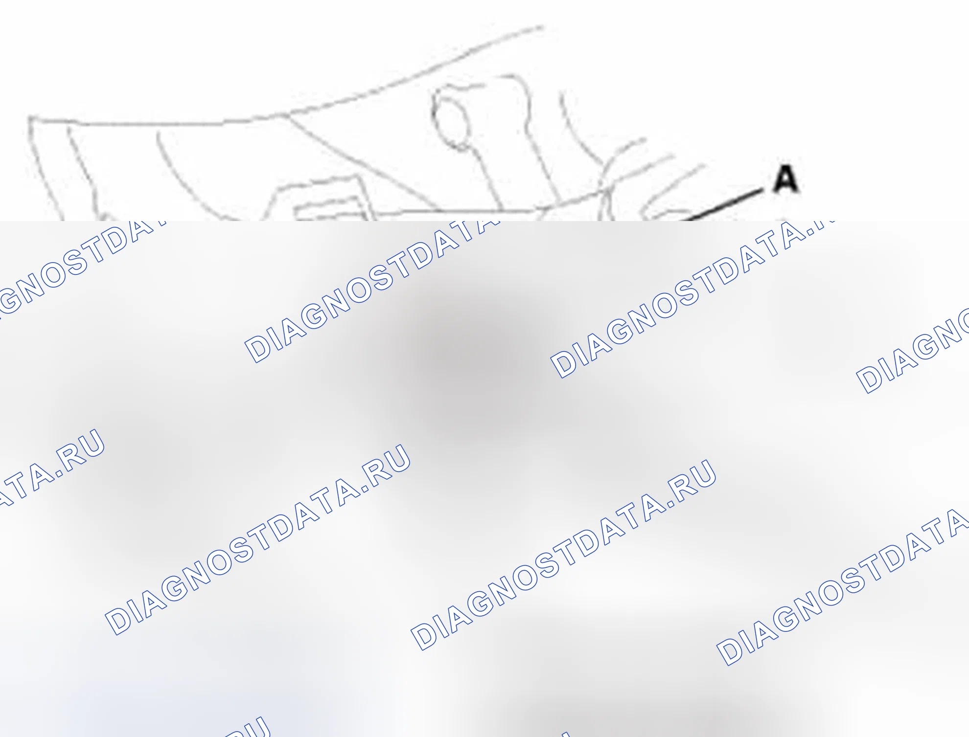 Рис. 301. Honda Civic IX